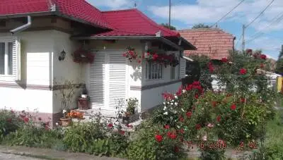 casa si teren generos, cu toate utilitatile