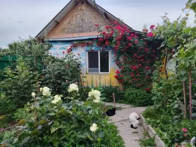 Schimb casă și teren în Tulcea cu casă și teren în Câșlița sau Mineri
