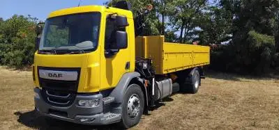 DAF LF 290 FA 19 t basculabil cu macara HIAB 111 cu telecomandă