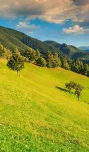 Vand teren intravilan lângă demembrari Feleacu Cluj