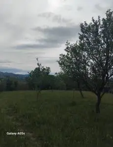 Teren intravilan de vânzare – Unguraș, comuna Dumbrăvița