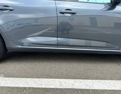 Renault Megane 2019 1.3TCE