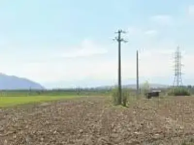 Vând urgent teren intravilan în Hațeg – 4.200 mp, toate utilitățile