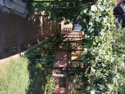 Vând Casă în Cartierul Primăverii, Suceava