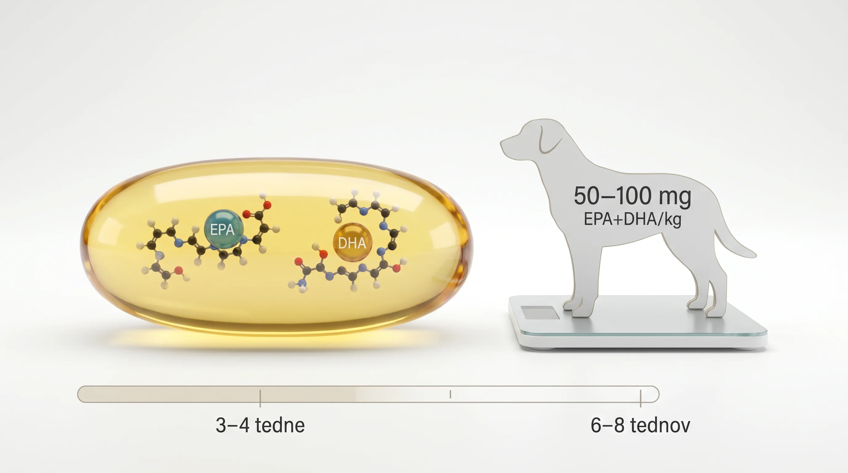 Clean 3D render on a white background: a transparent fish oil softgel capsule with clearly labeled EPA and DHA molecular models floating inside; next 