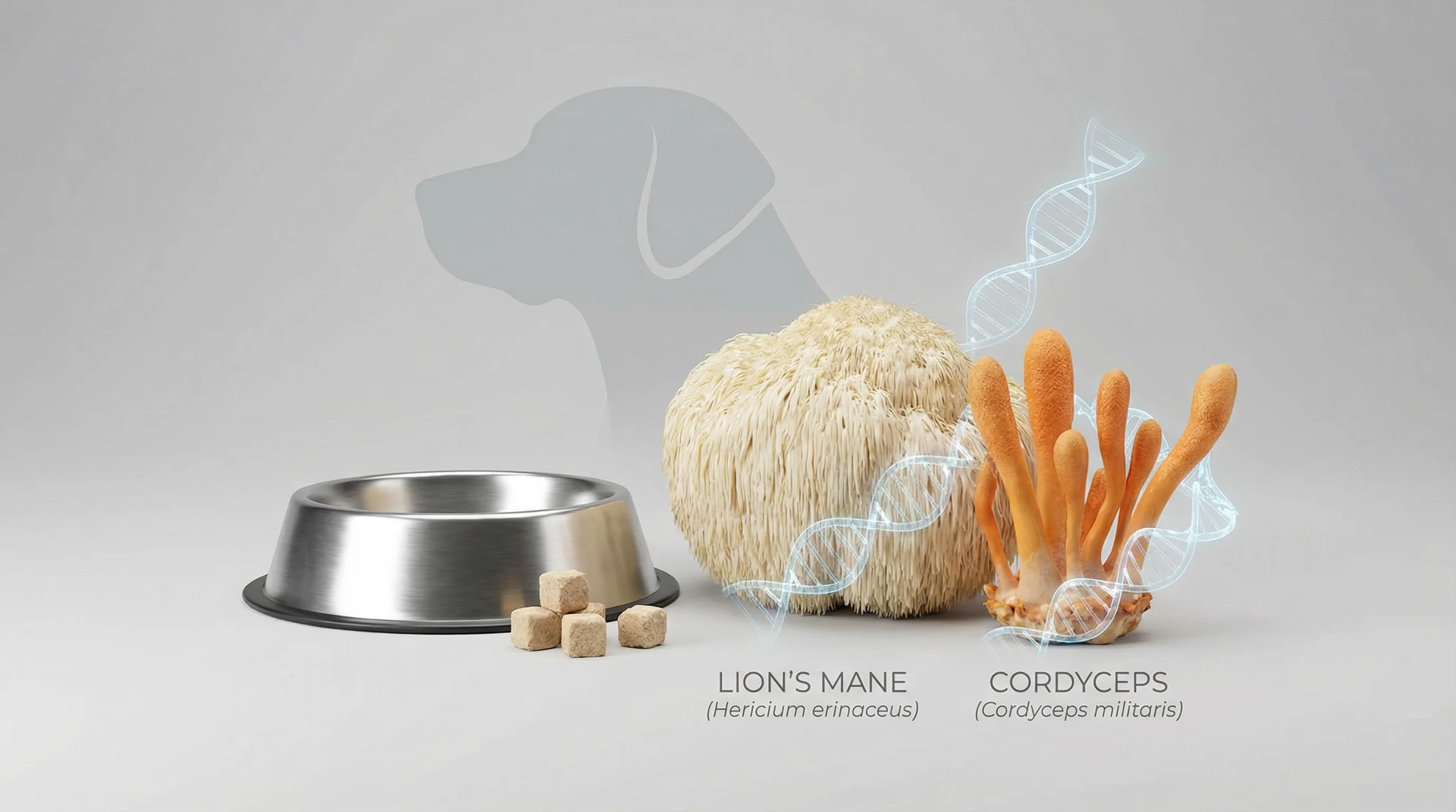 Clean 3D studio render showing Lion’s Mane (Hericium erinaceus) and Cordyceps militaris mushrooms beside a plain stainless-steel dog bowl with a few f