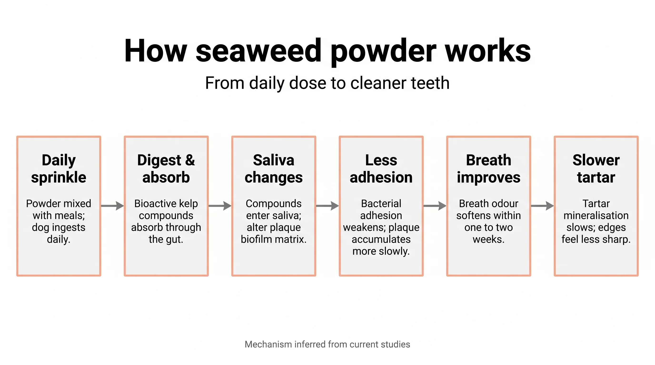 How seaweed powder works