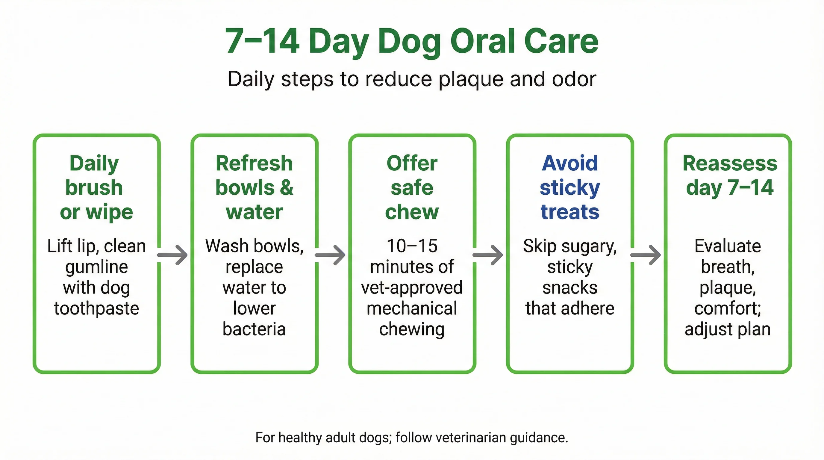 7–14 Day Dog Oral Care