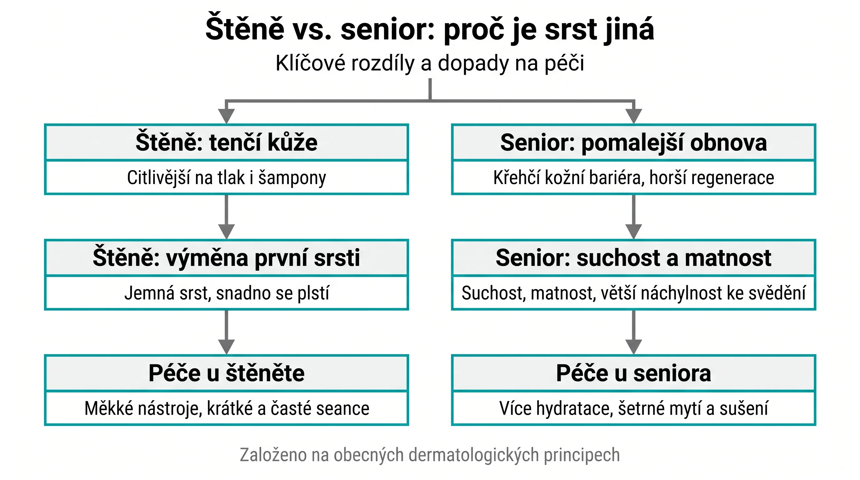 Štěně vs. senior: proč je srst jiná