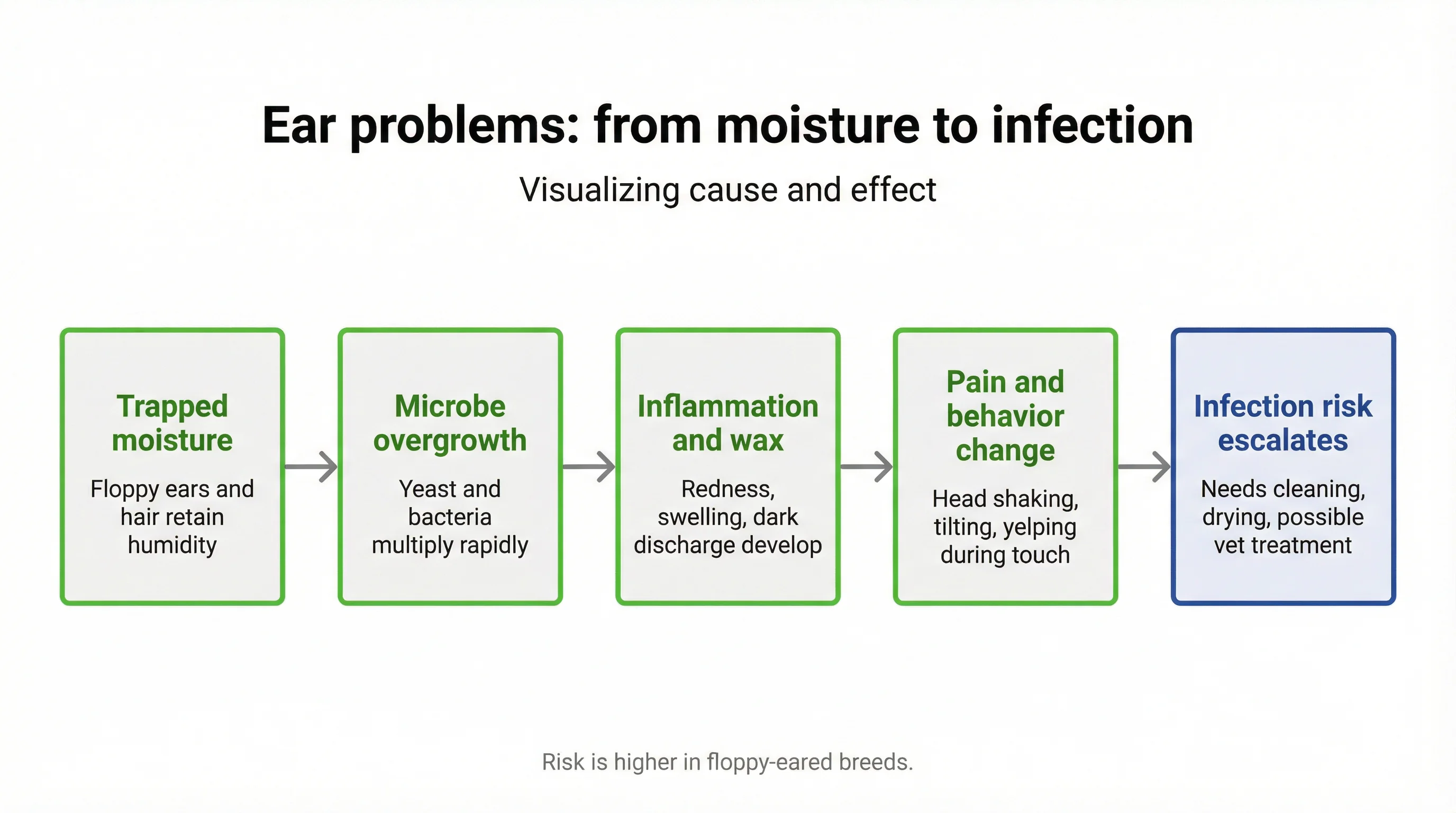 Ear problems: from moisture to infection
