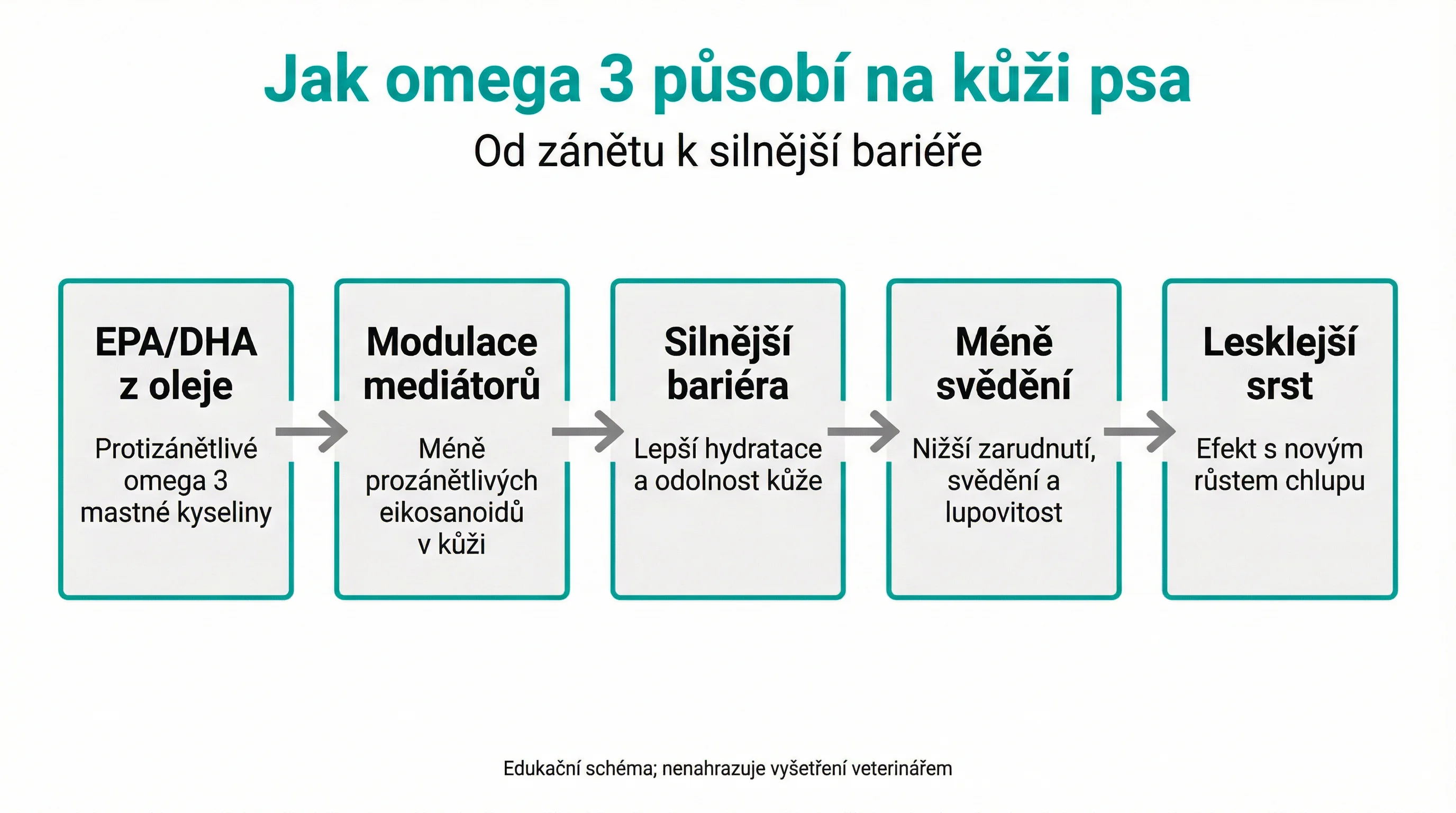 Jak omega 3 působí na kůži psa