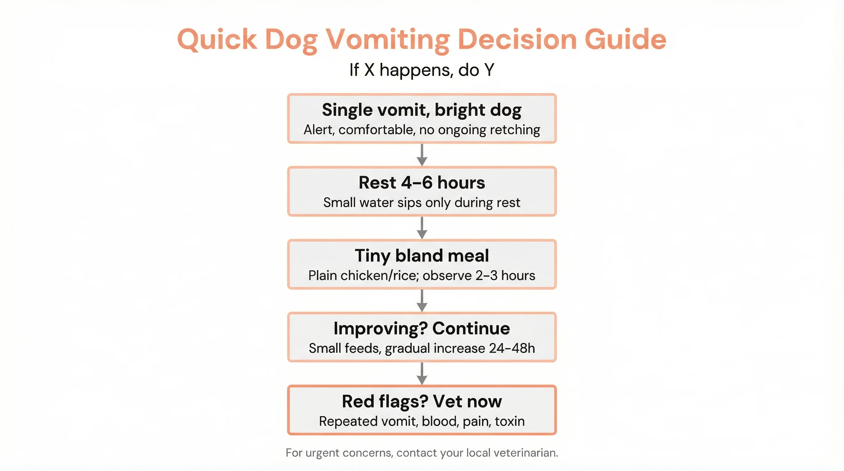 Quick Dog Vomiting Decision Guide