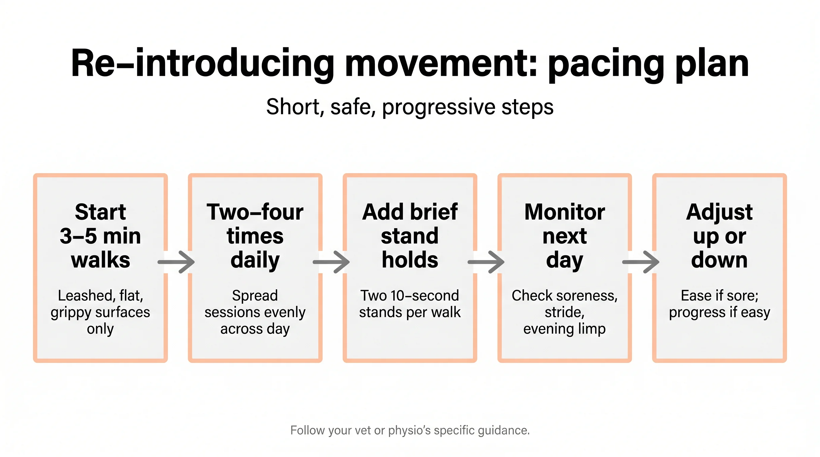 Re-introducing movement: pacing plan