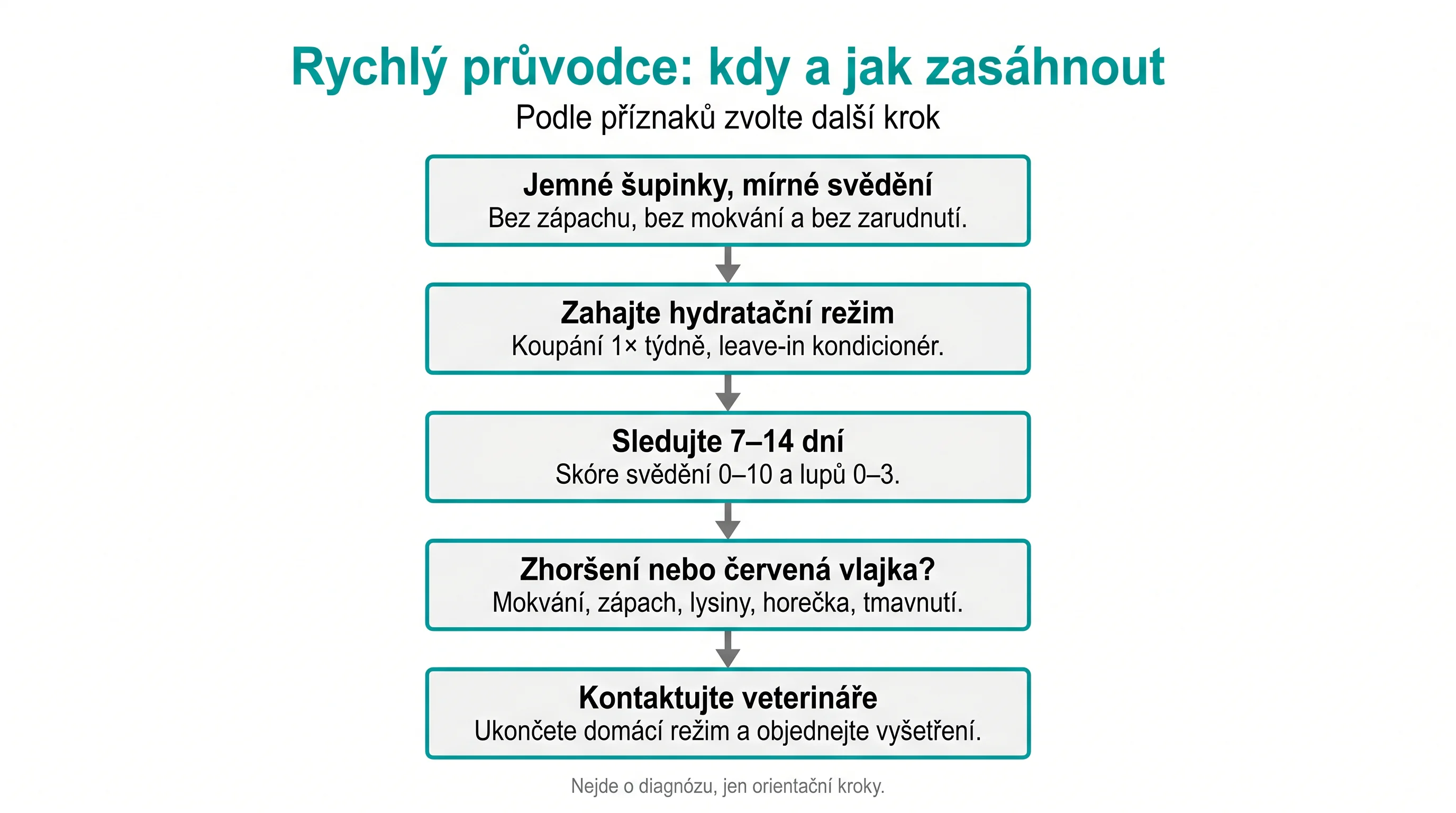 Rychlý průvodce: kdy a jak zasáhnout