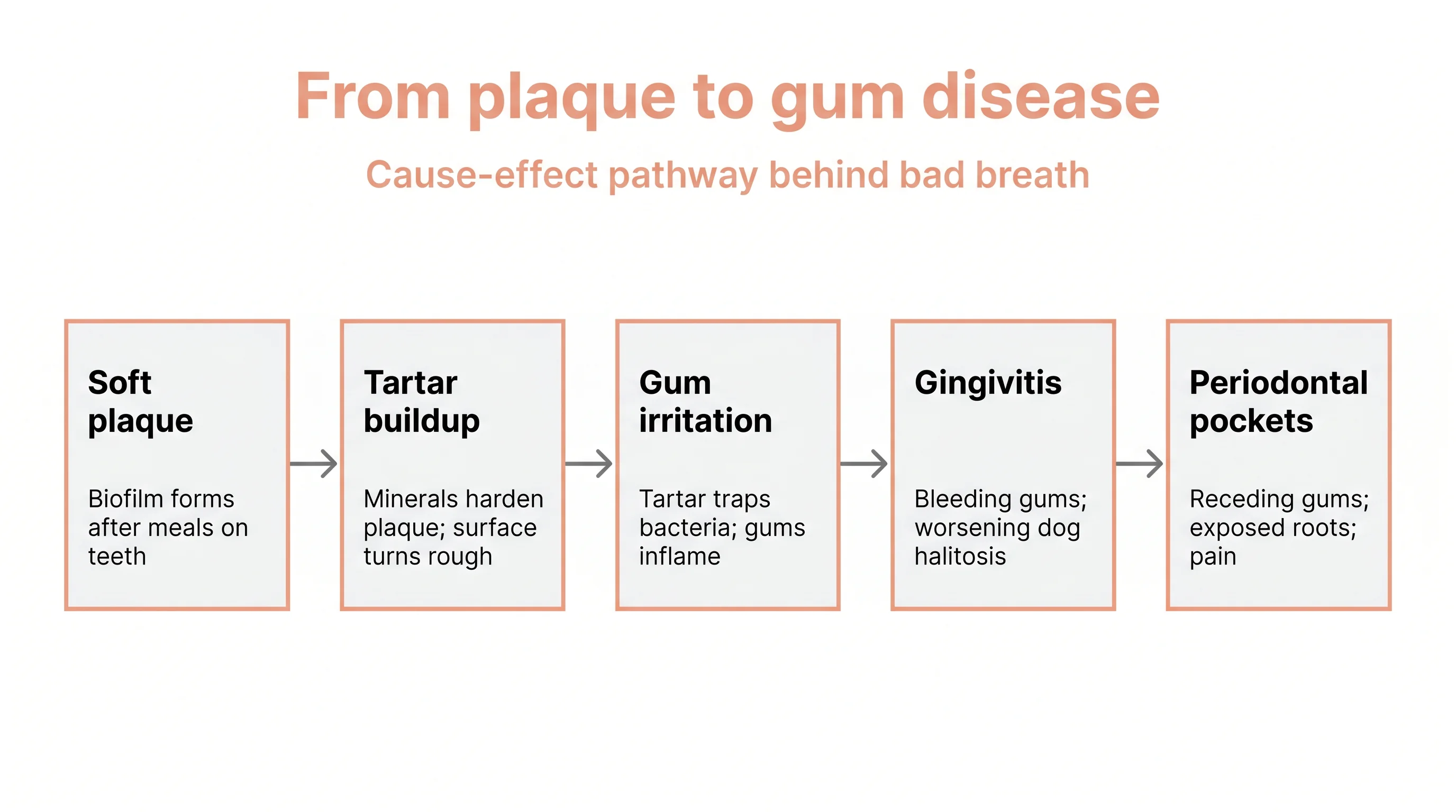 From plaque to gum disease