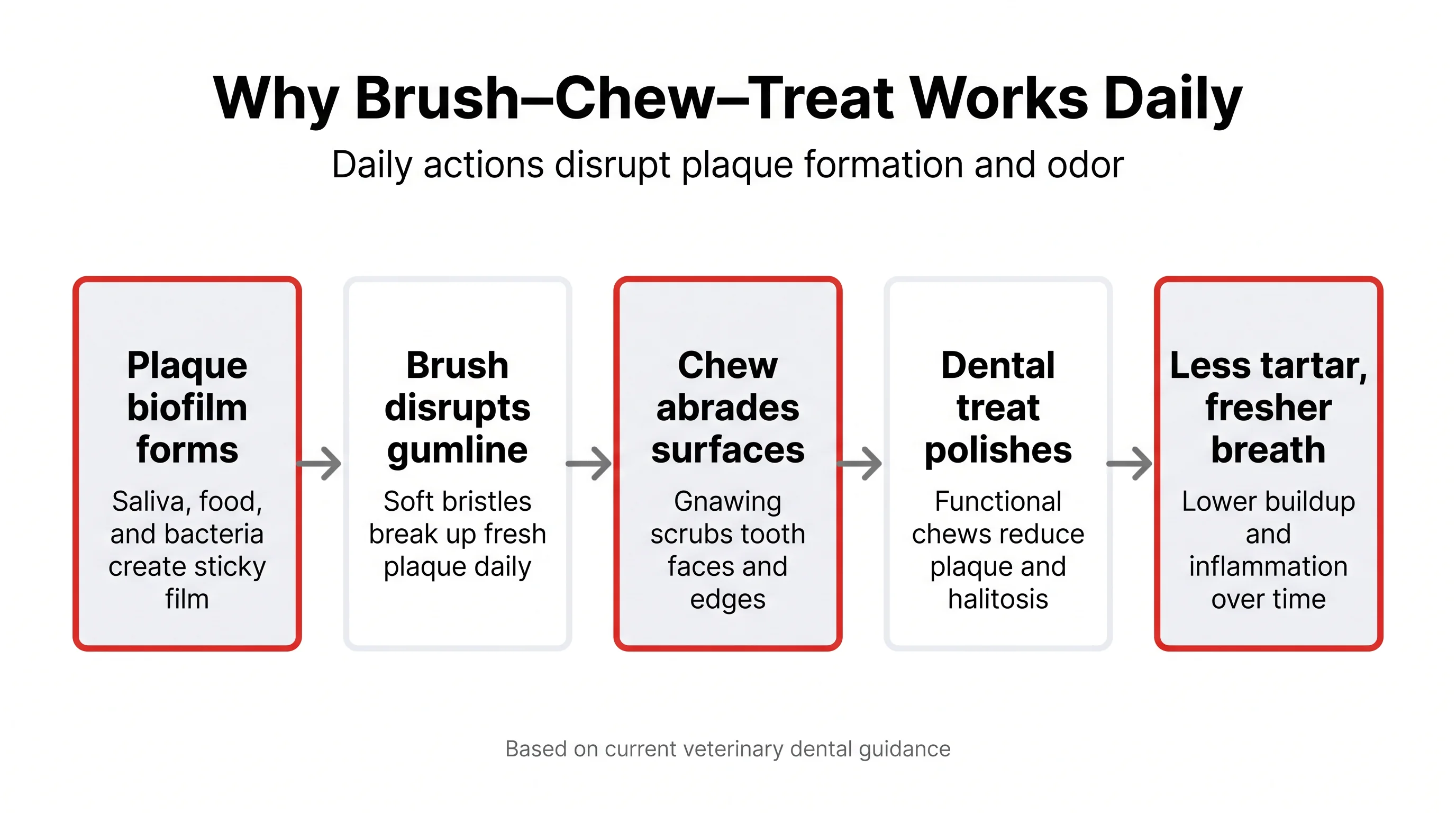 Why Brush–Chew–Treat Works Daily