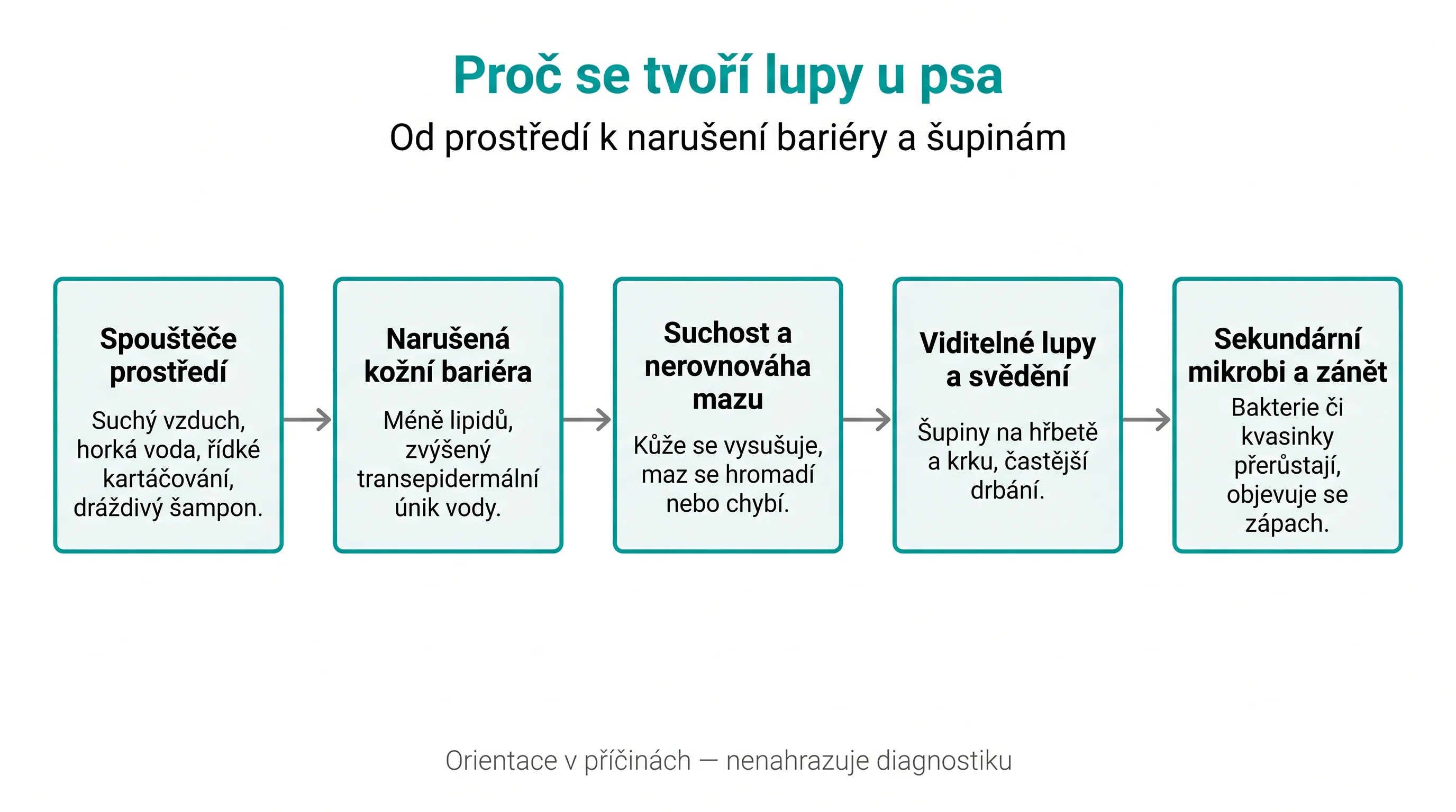 Proč se tvoří lupy u psa