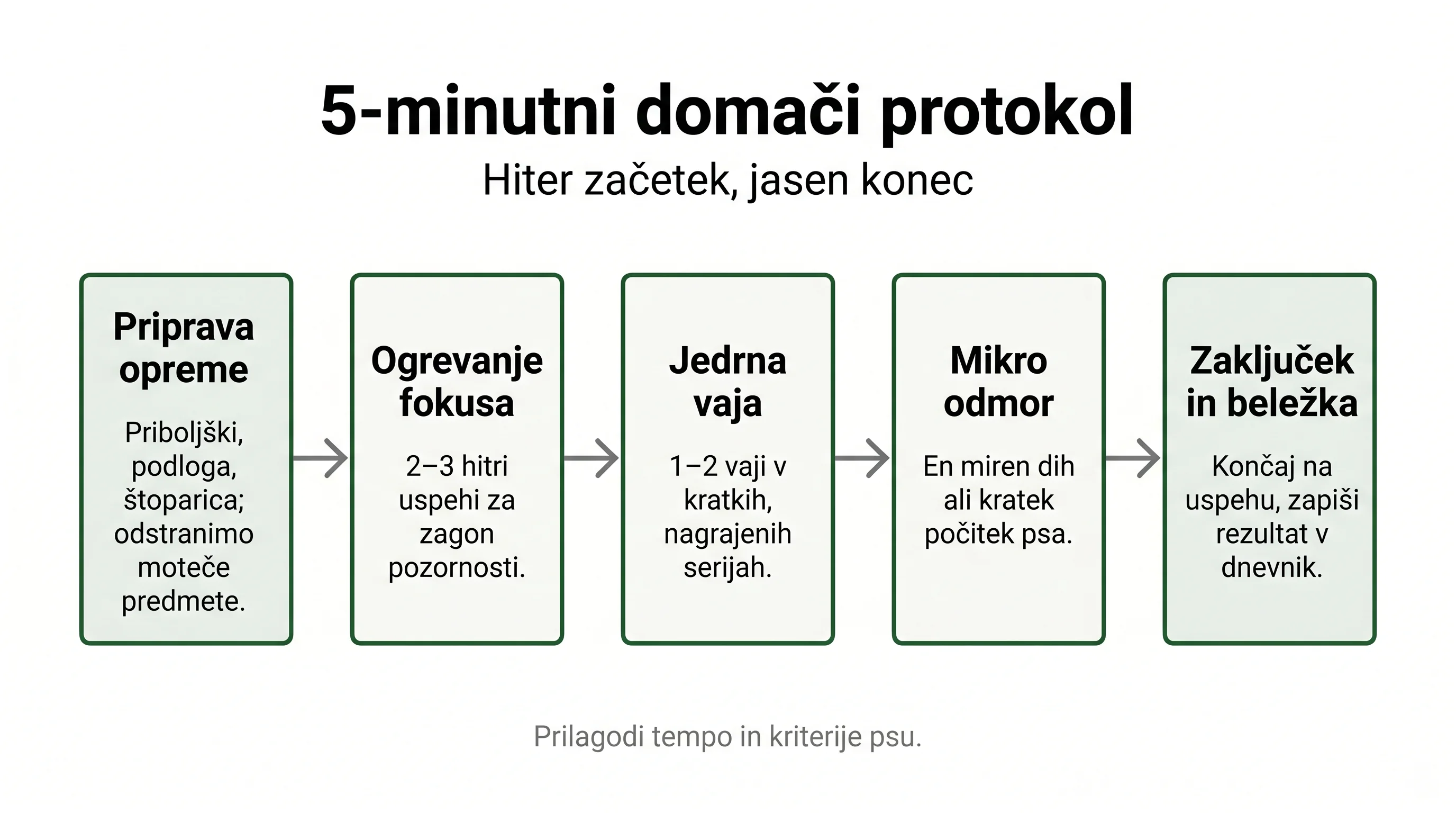 5‑minutni domači protokol