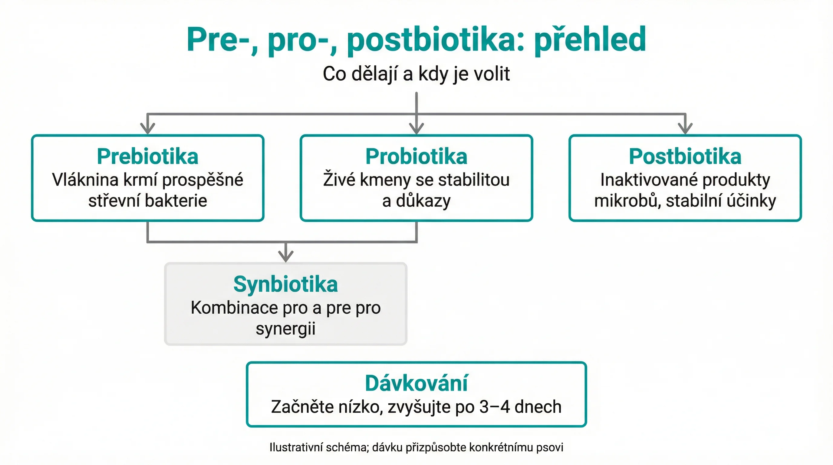 Pre-, pro-, postbiotika: přehled