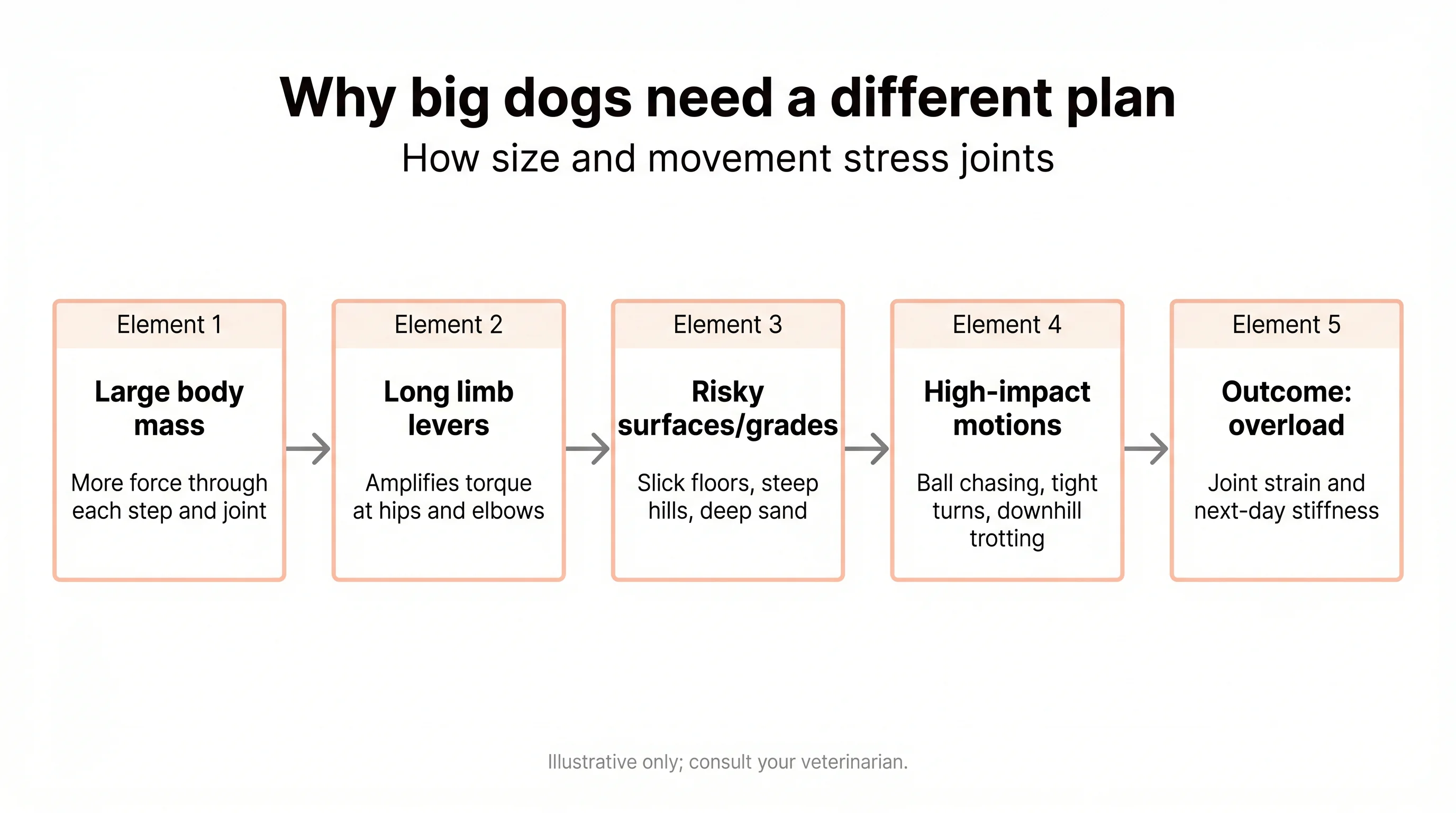 Why big dogs need a different plan