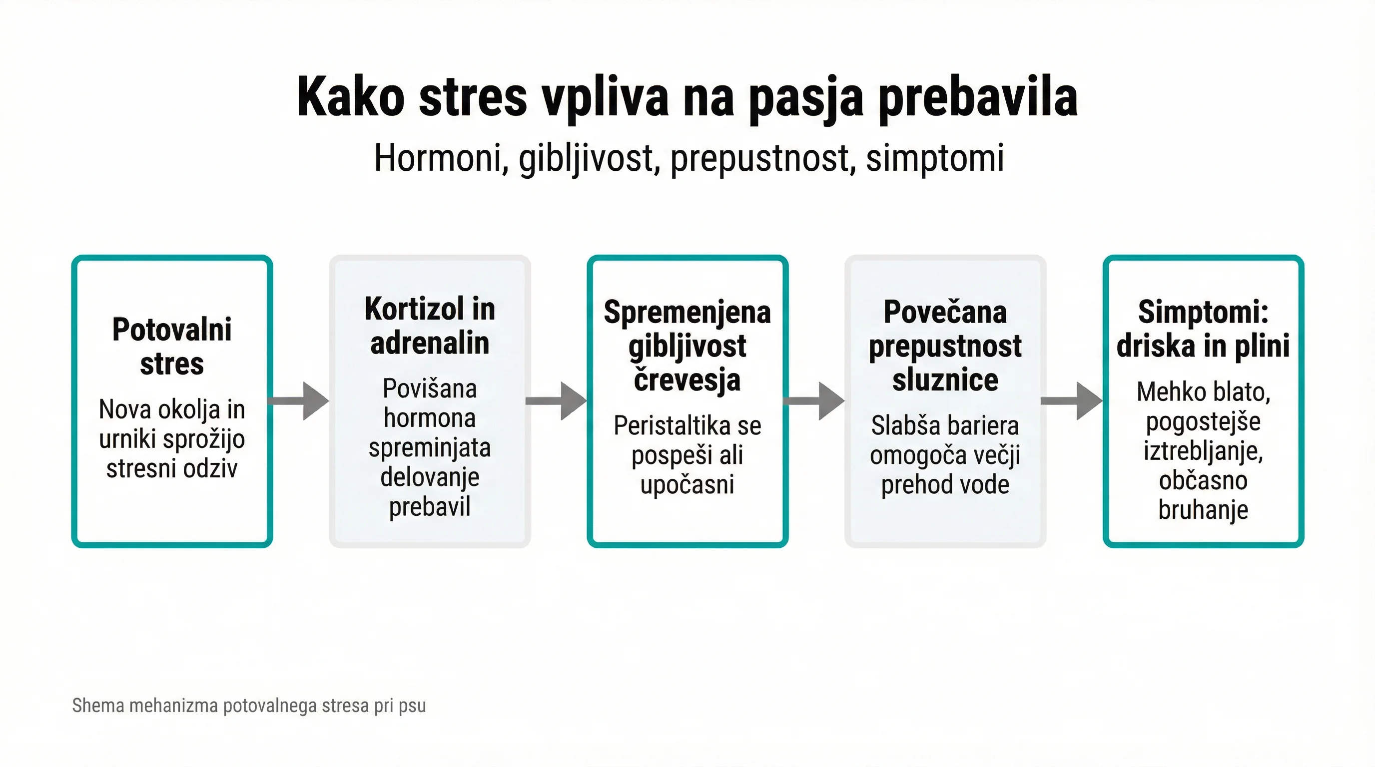 Kako stres vpliva na pasja prebavila