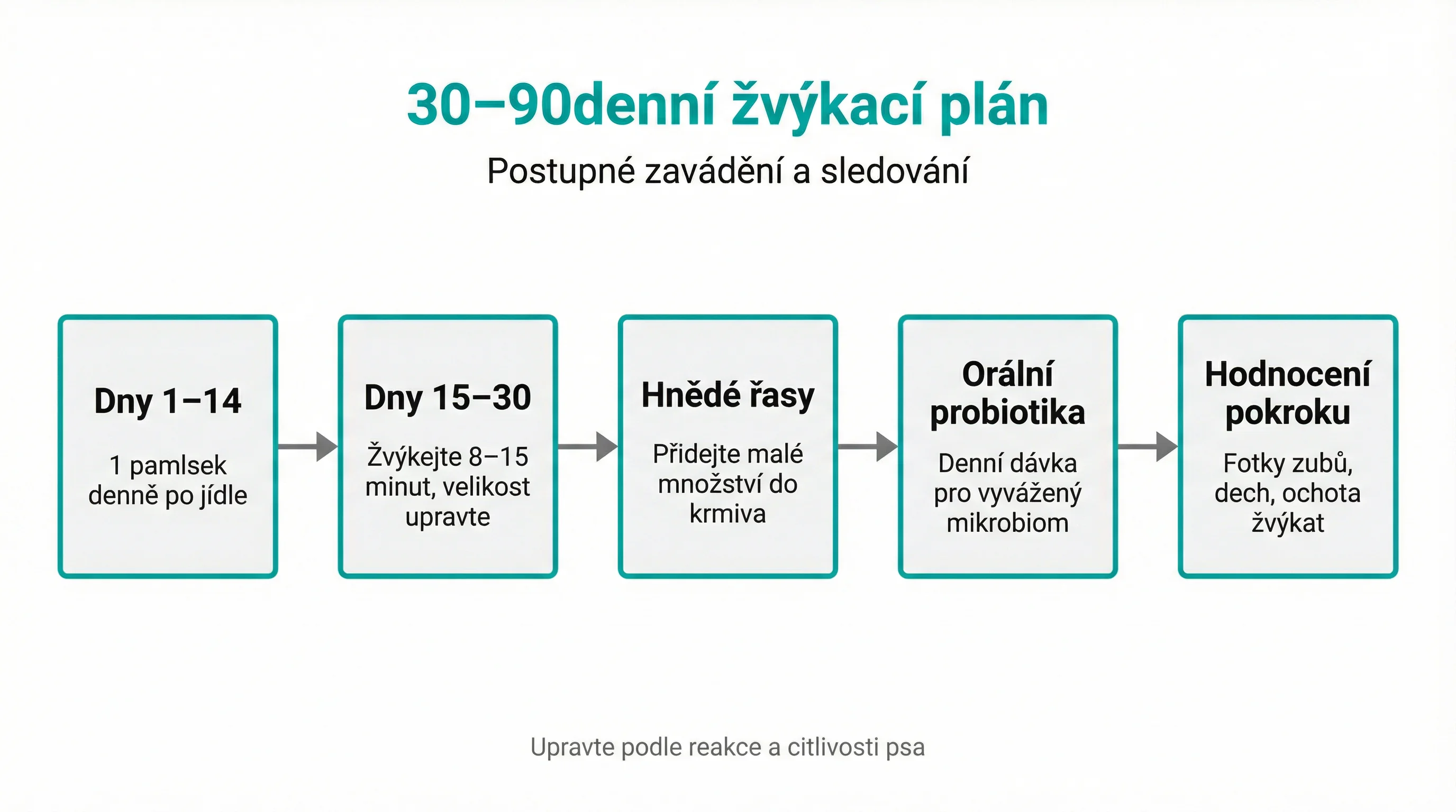 30–90denní žvýkací plán