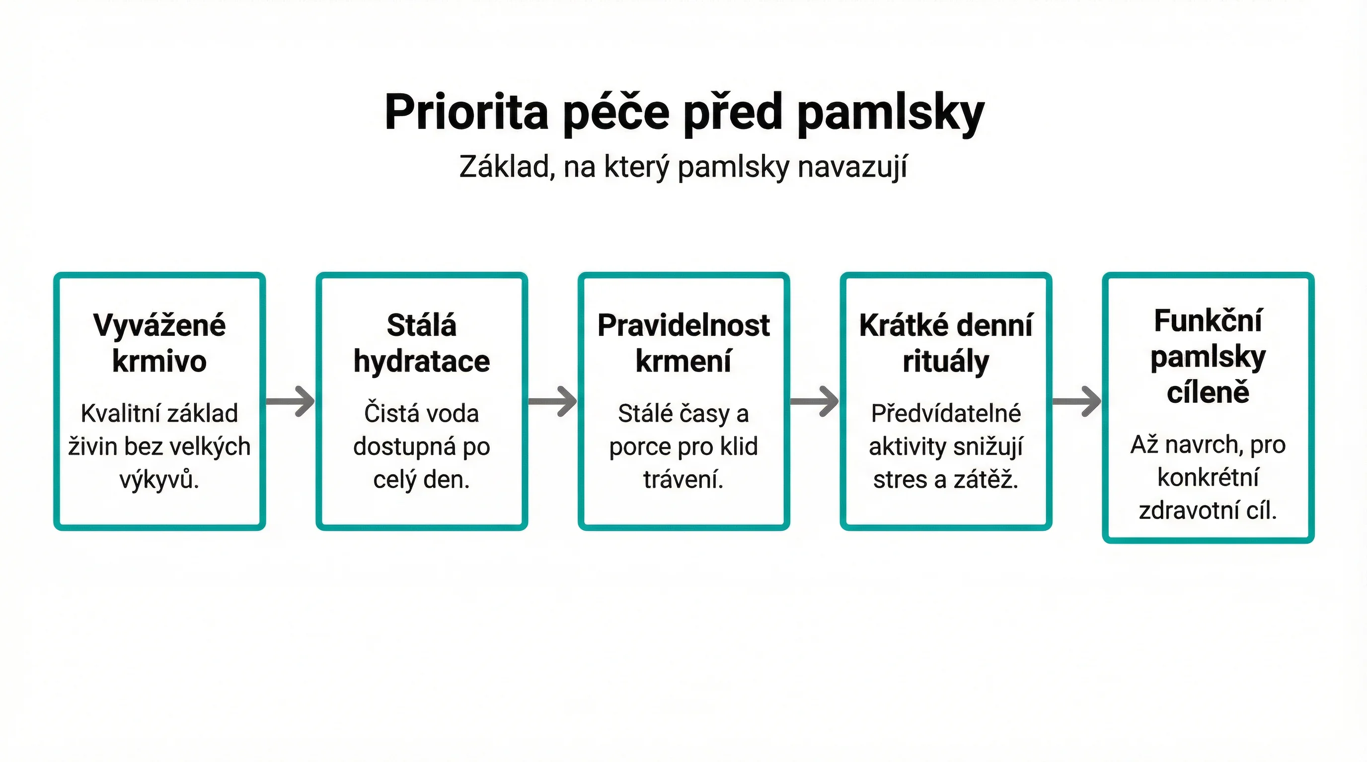 Priorita péče před pamlsky