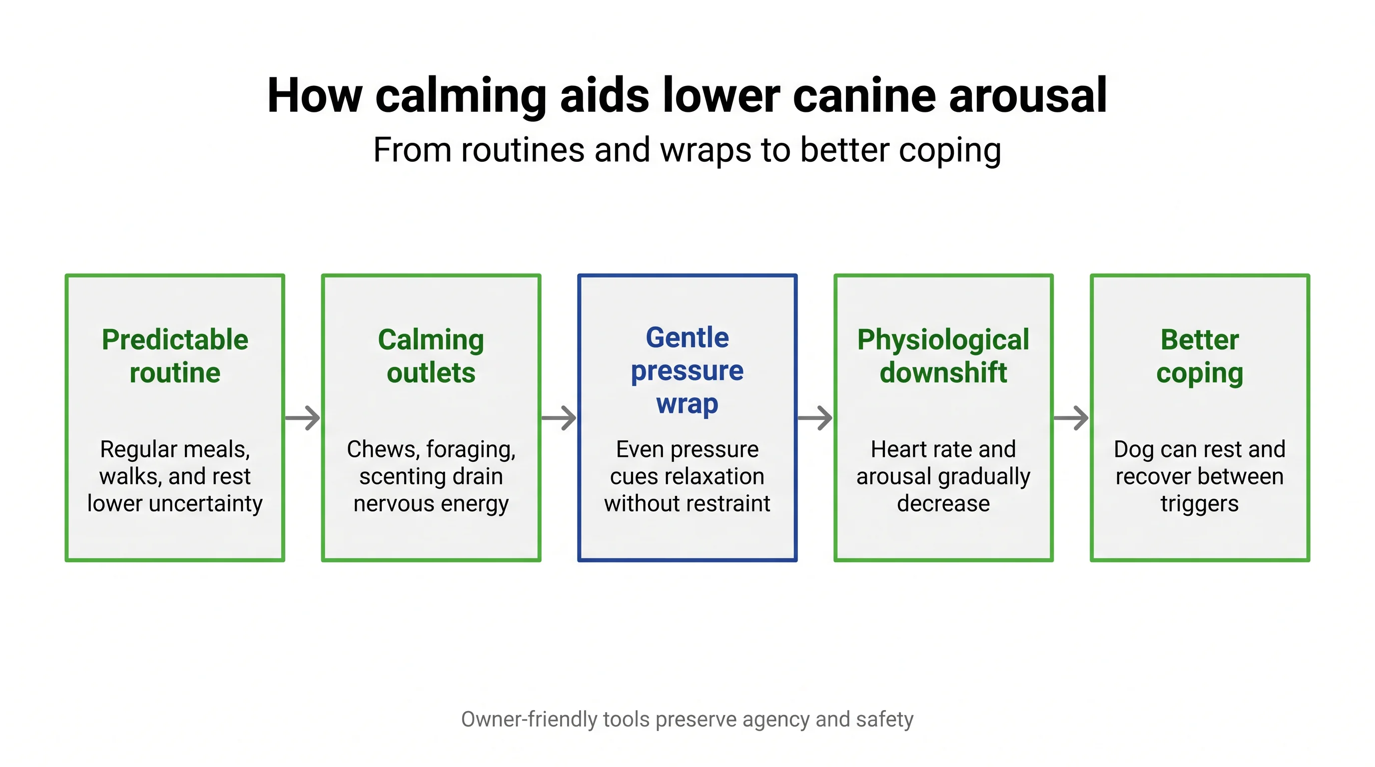 How calming aids lower canine arousal