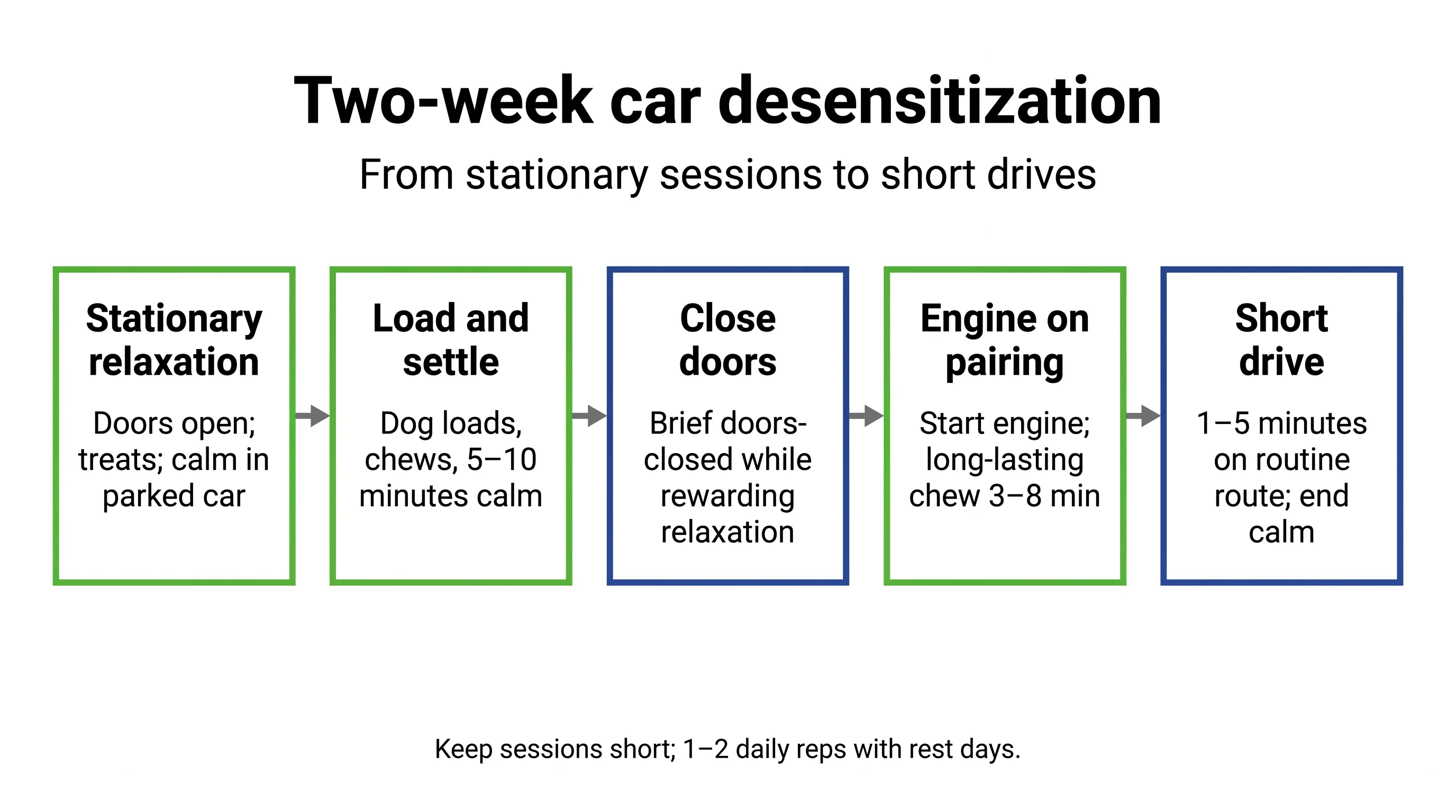 Two-week car desensitization