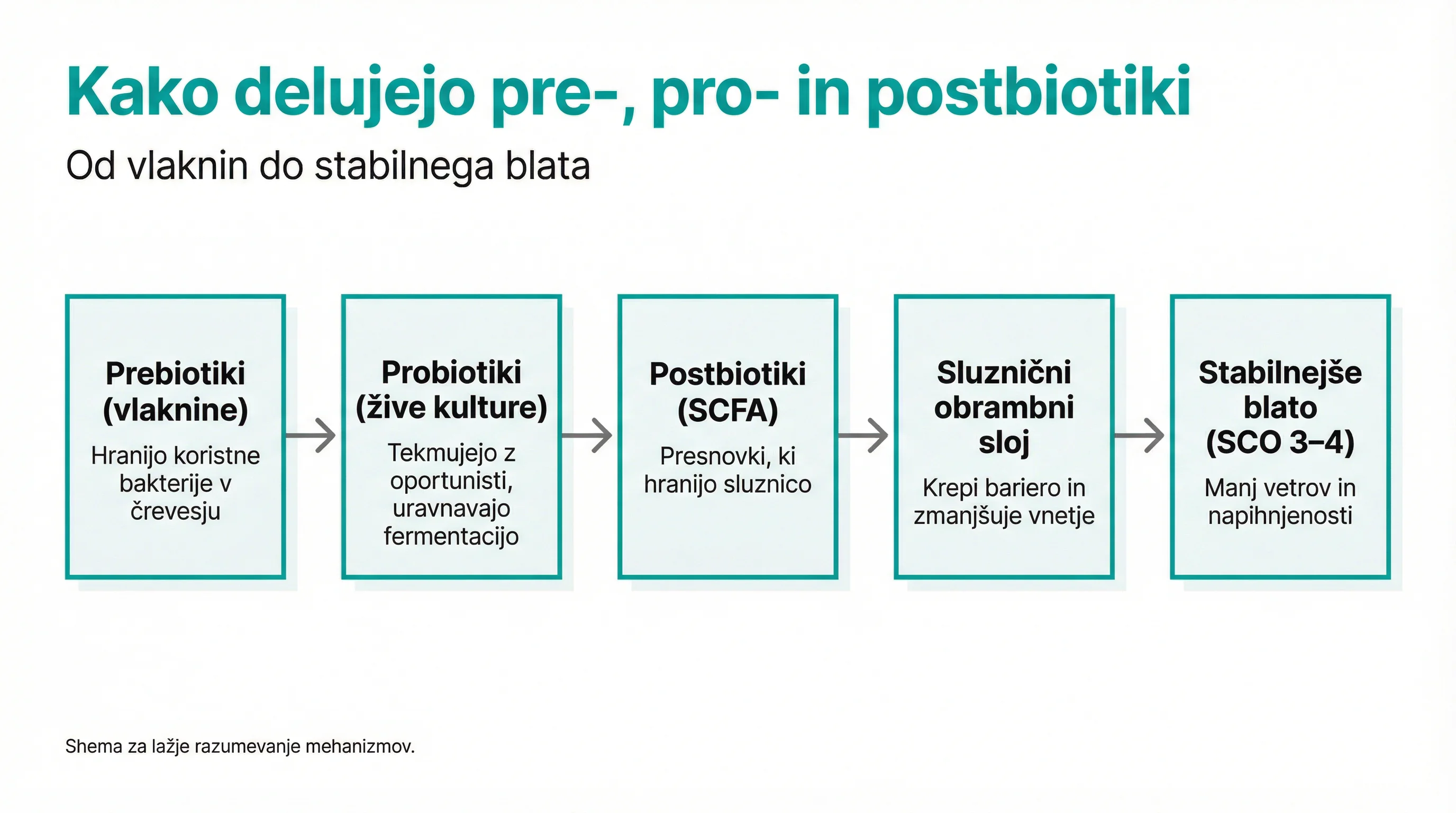 Kako delujejo pre-, pro- in postbiotiki