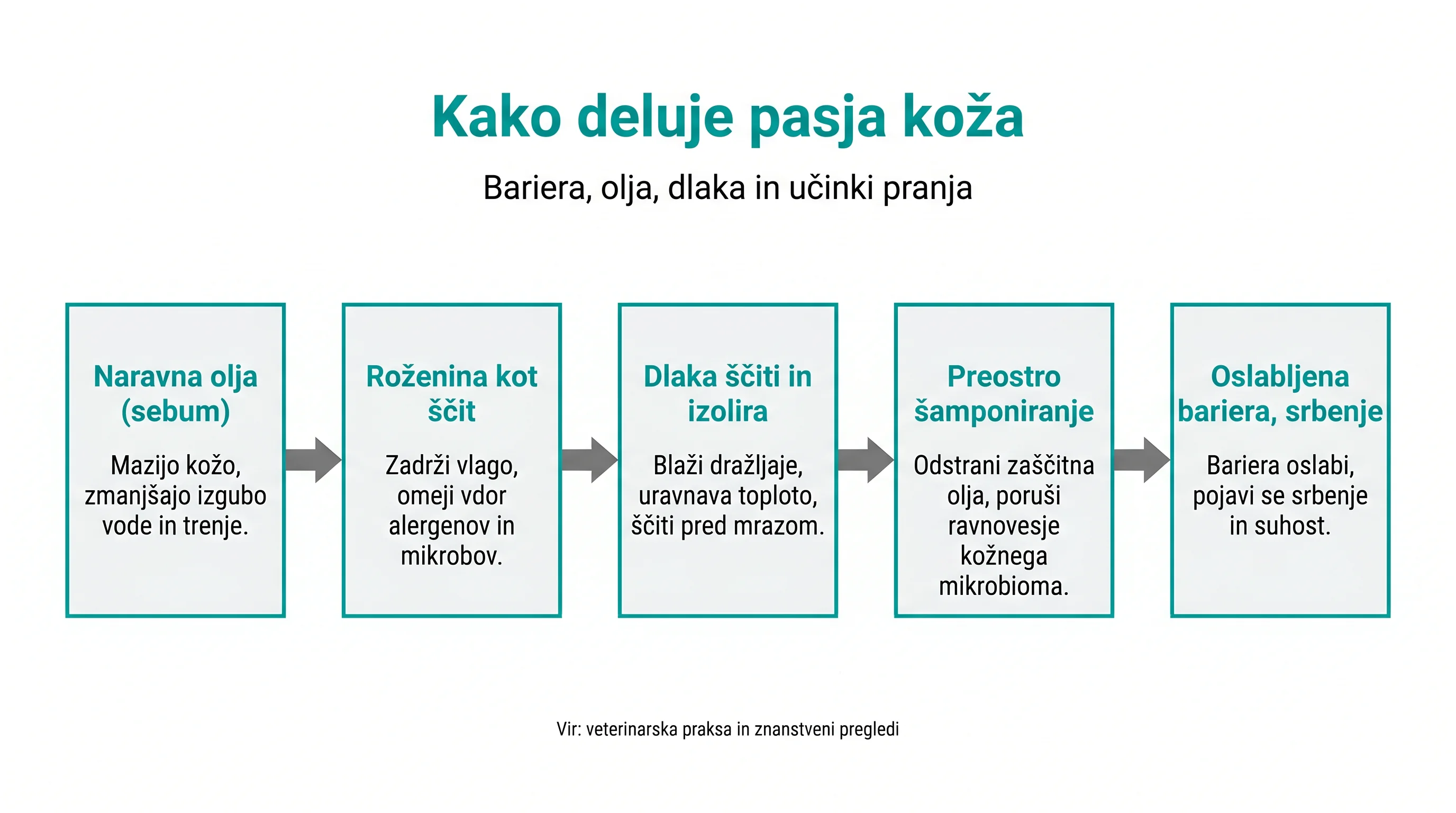 Kako deluje pasja koža
