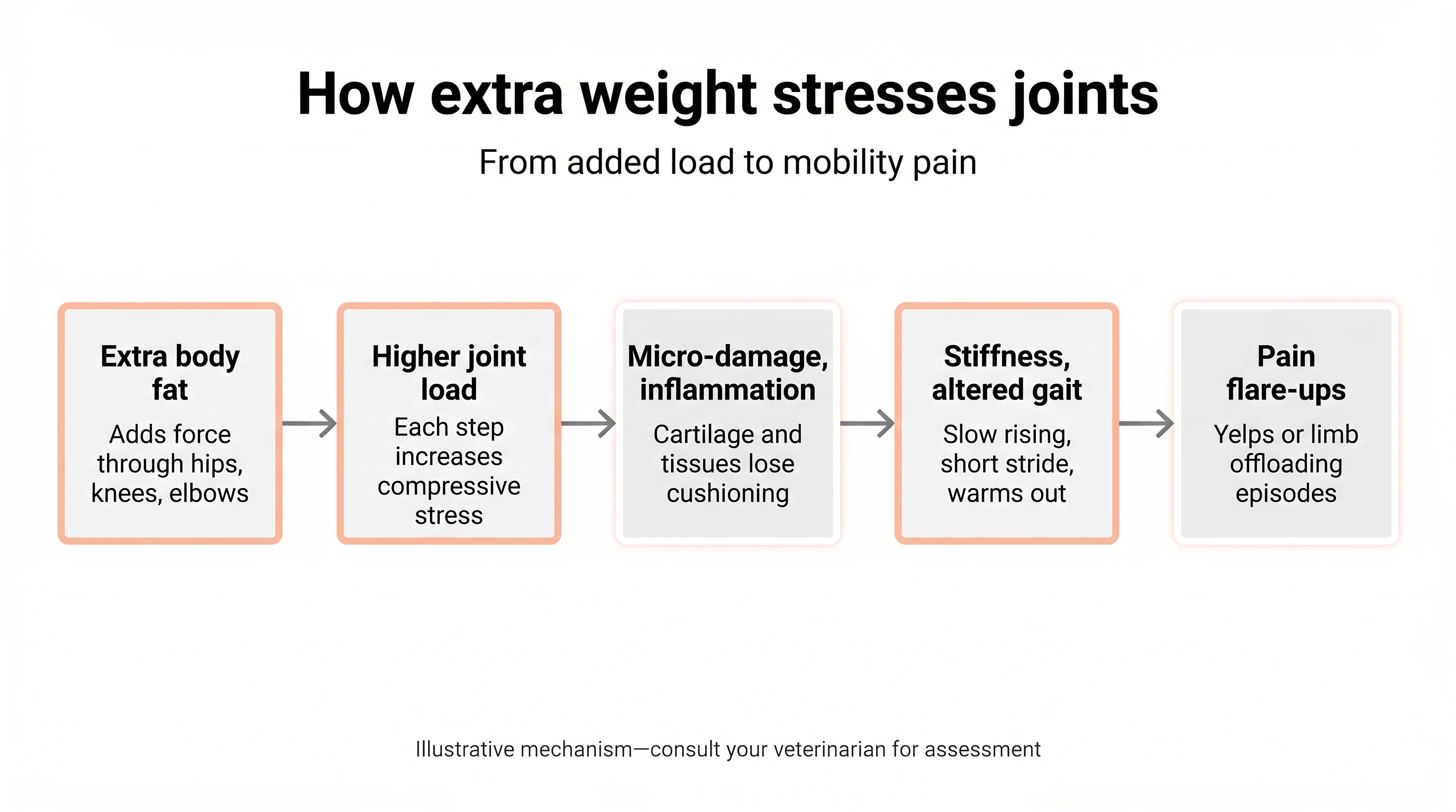 How extra weight stresses joints