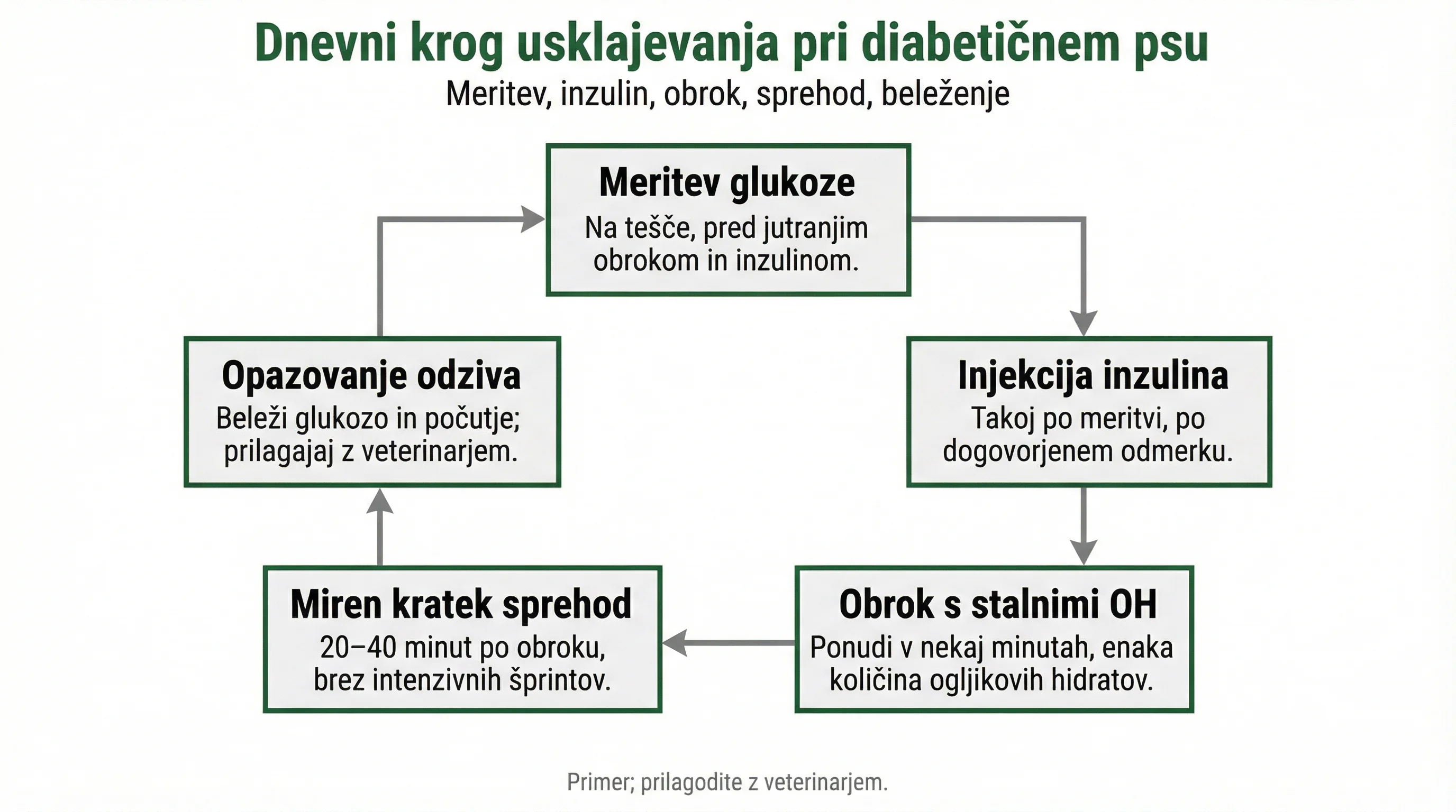 Dnevni krog usklajevanja pri diabetičnem psu