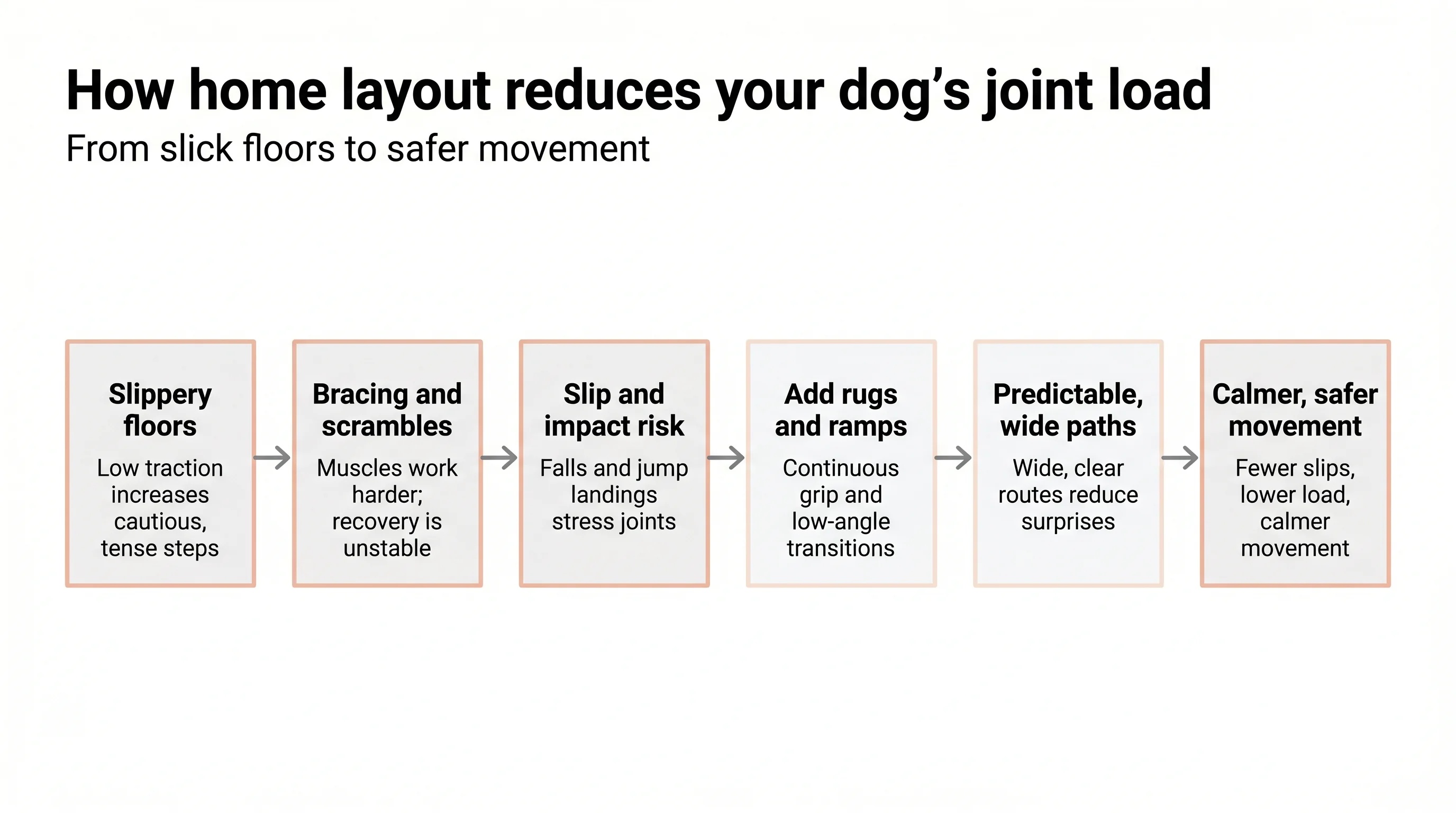 How home layout reduces your dog’s joint load