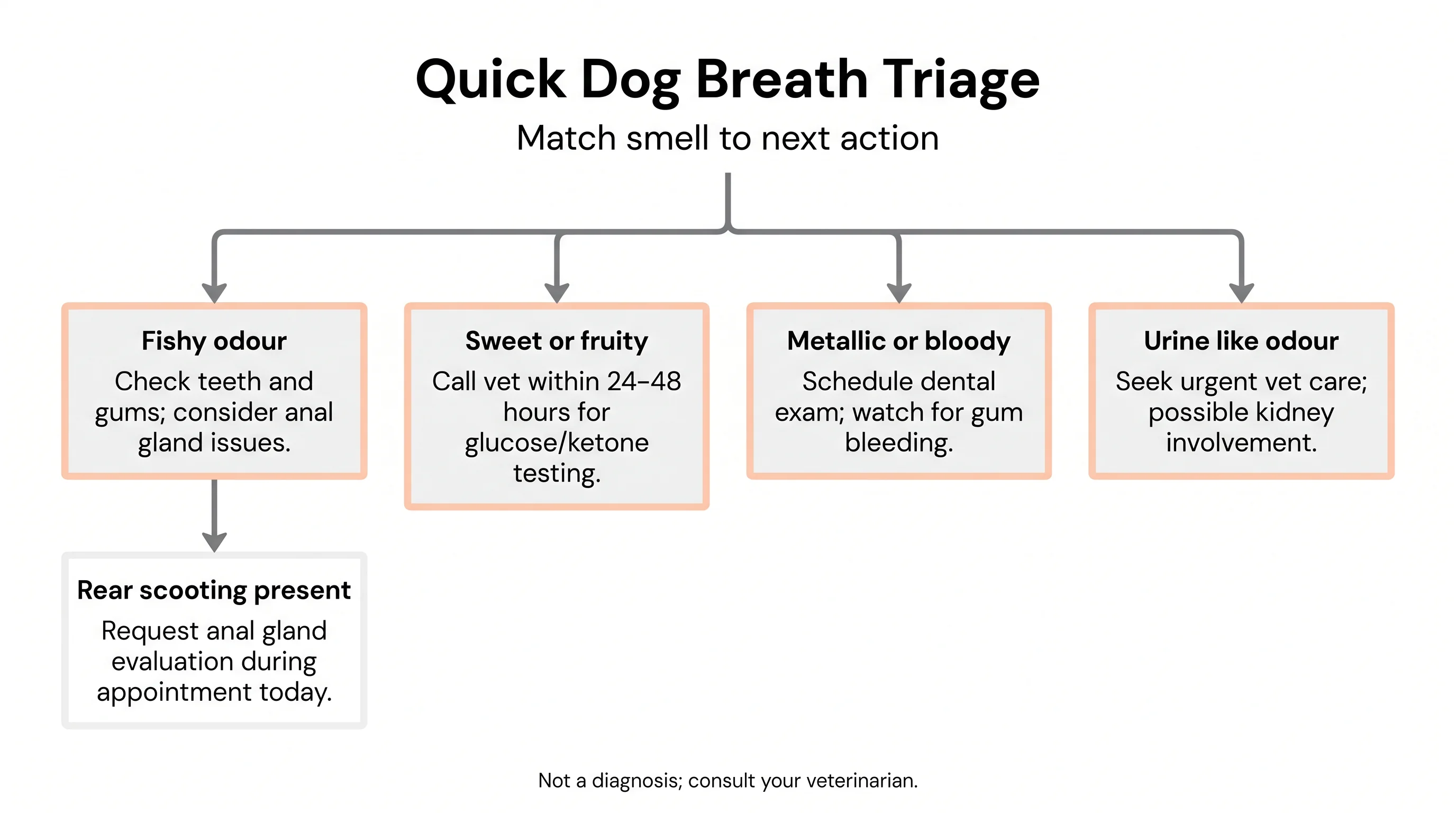 Quick Dog Breath Triage