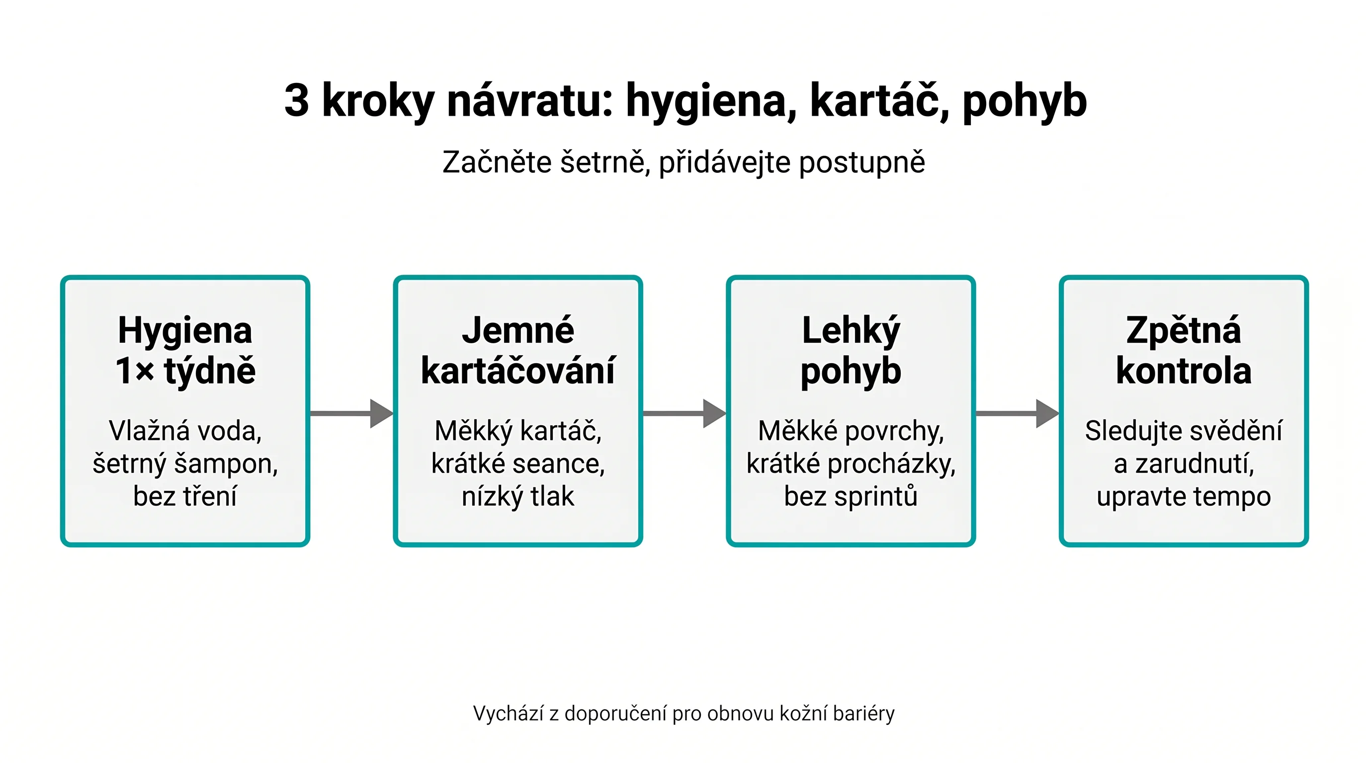 3 kroky návratu: hygiena, kartáč, pohyb