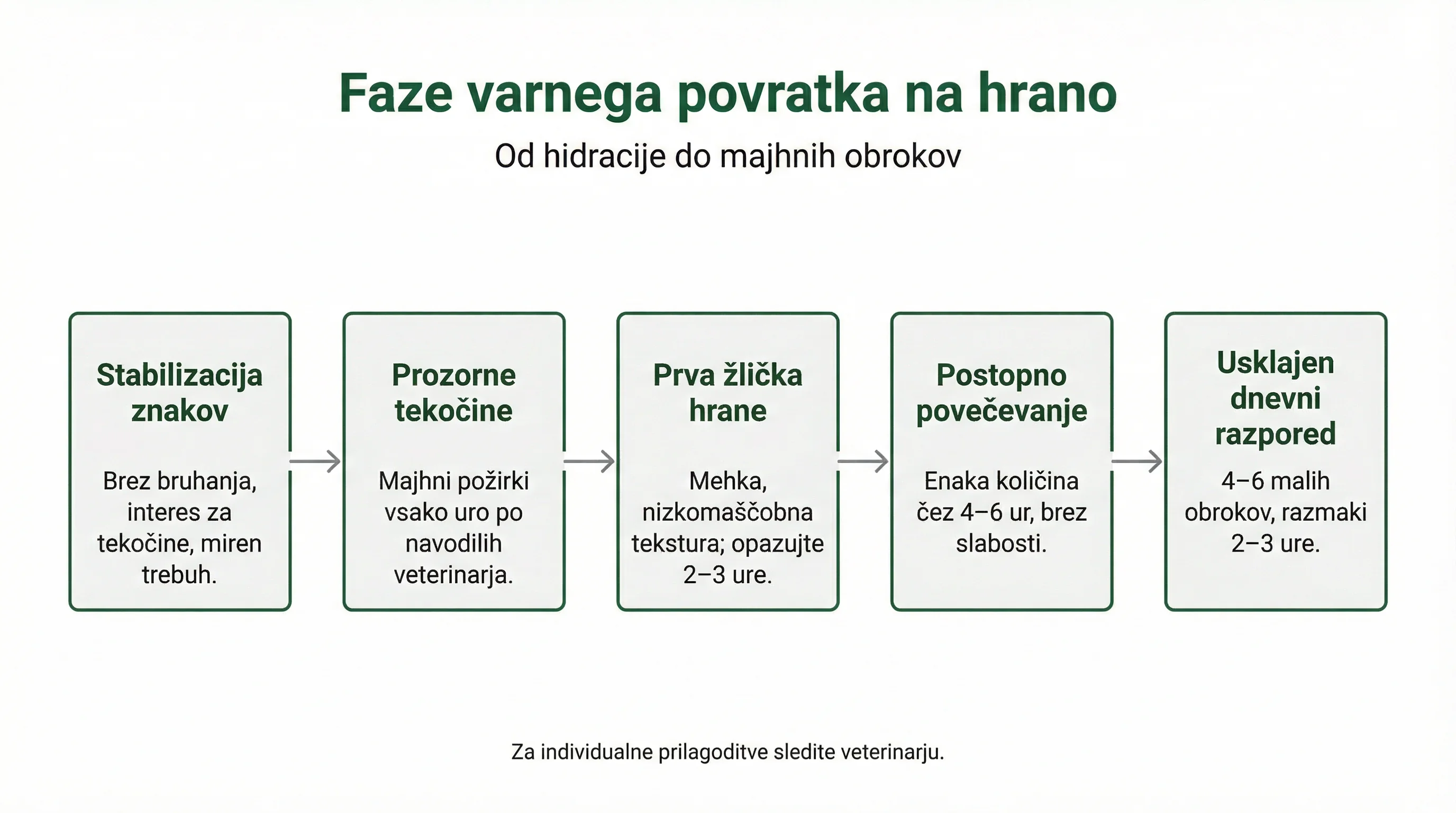 Faze varnega povratka na hrano