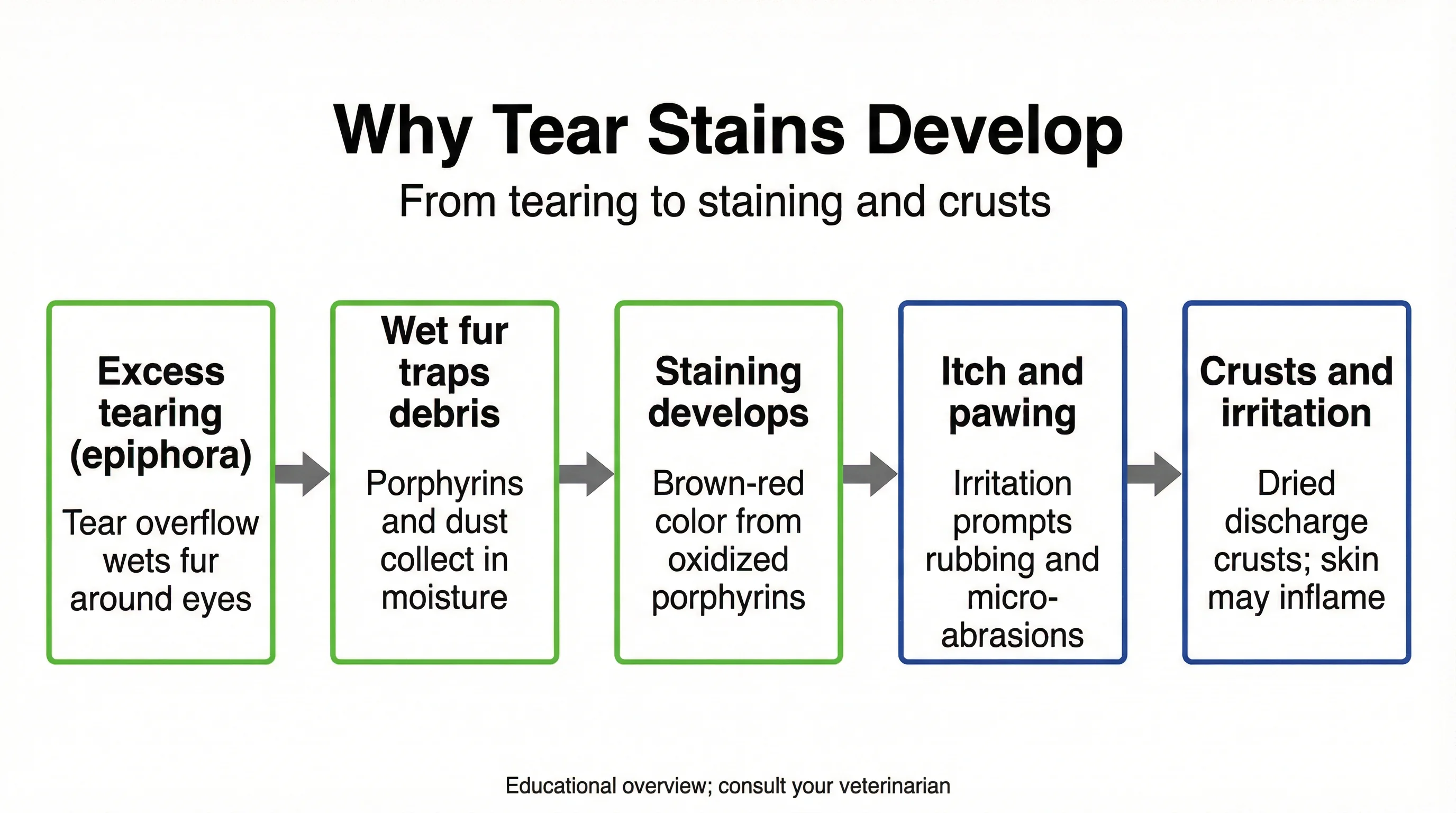 Why Tear Stains Develop