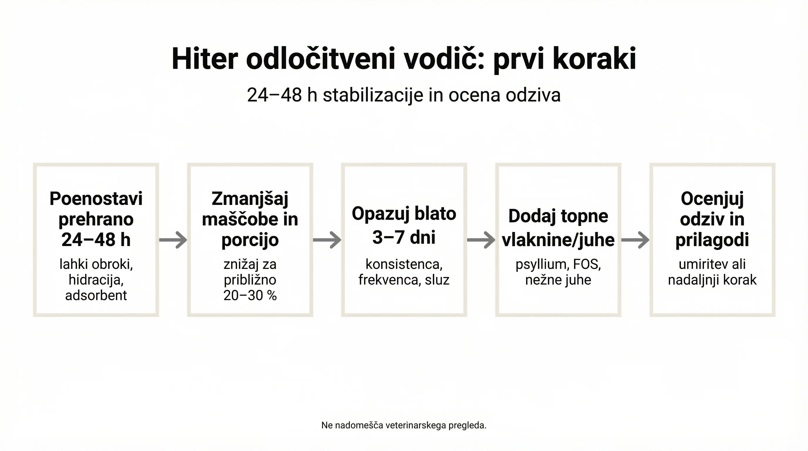 Hiter odločitveni vodič: prvi koraki