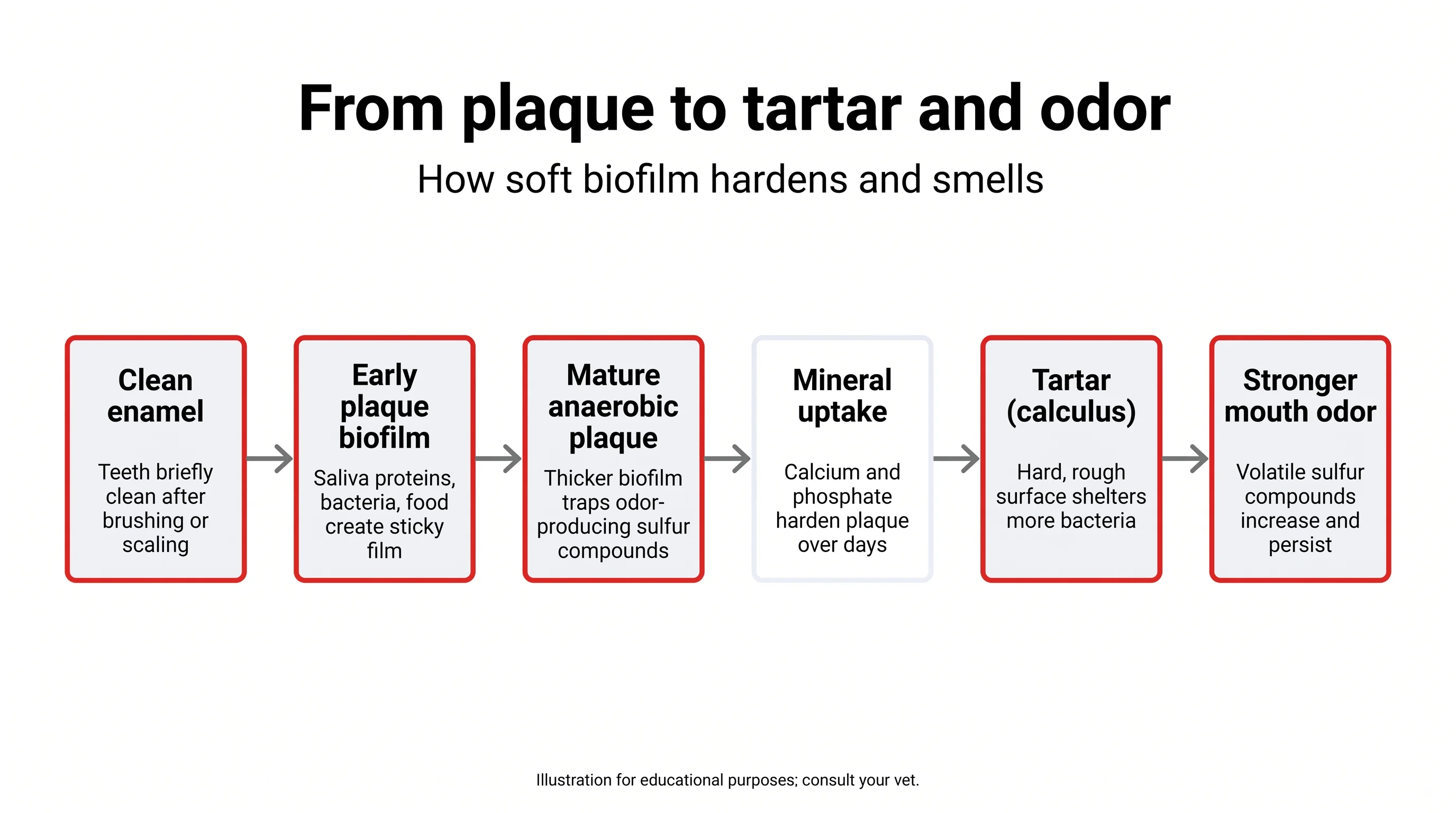 From plaque to tartar and odor