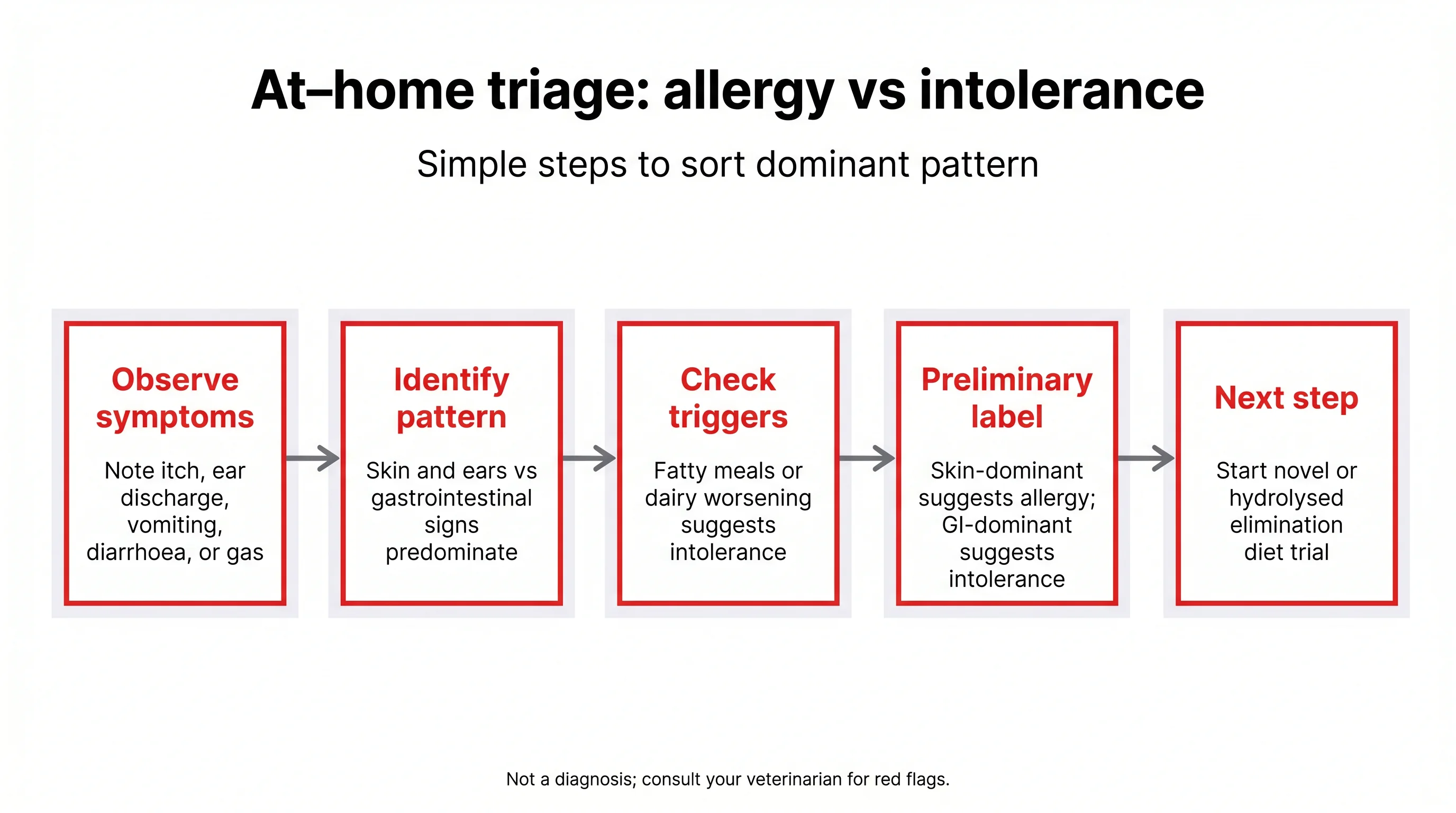 At‑home triage: allergy vs intolerance
