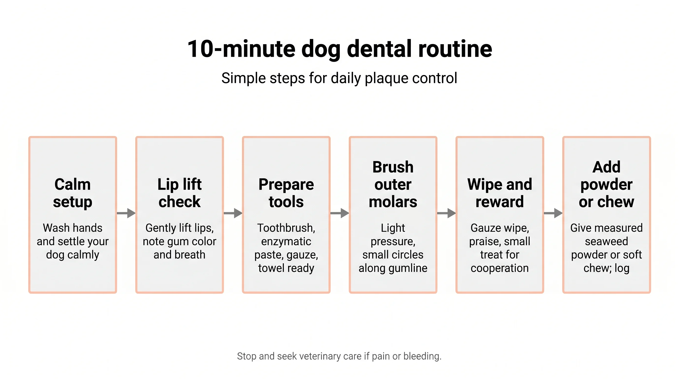 10‑minute dog dental routine