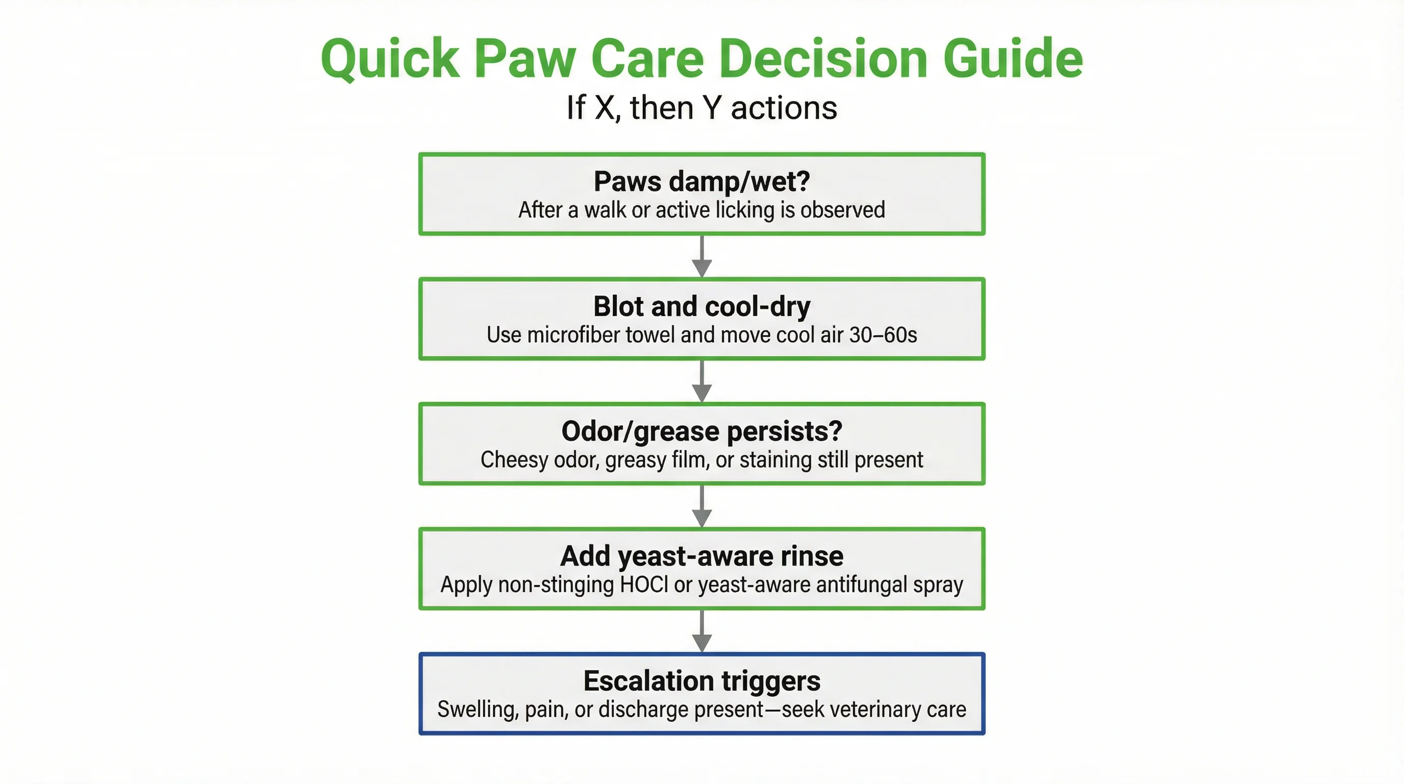 Quick Paw Care Decision Guide