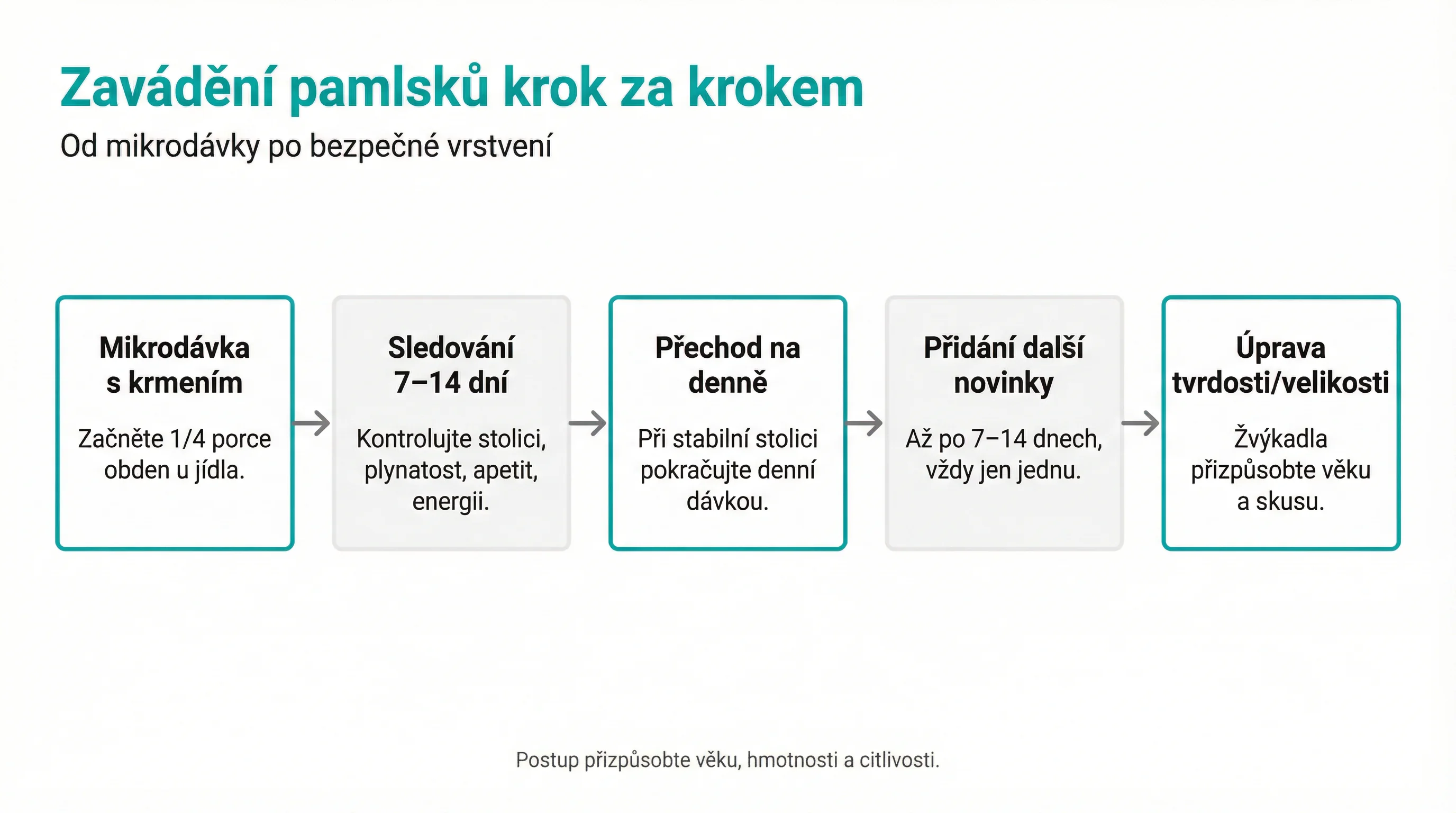 Zavádění pamlsků krok za krokem