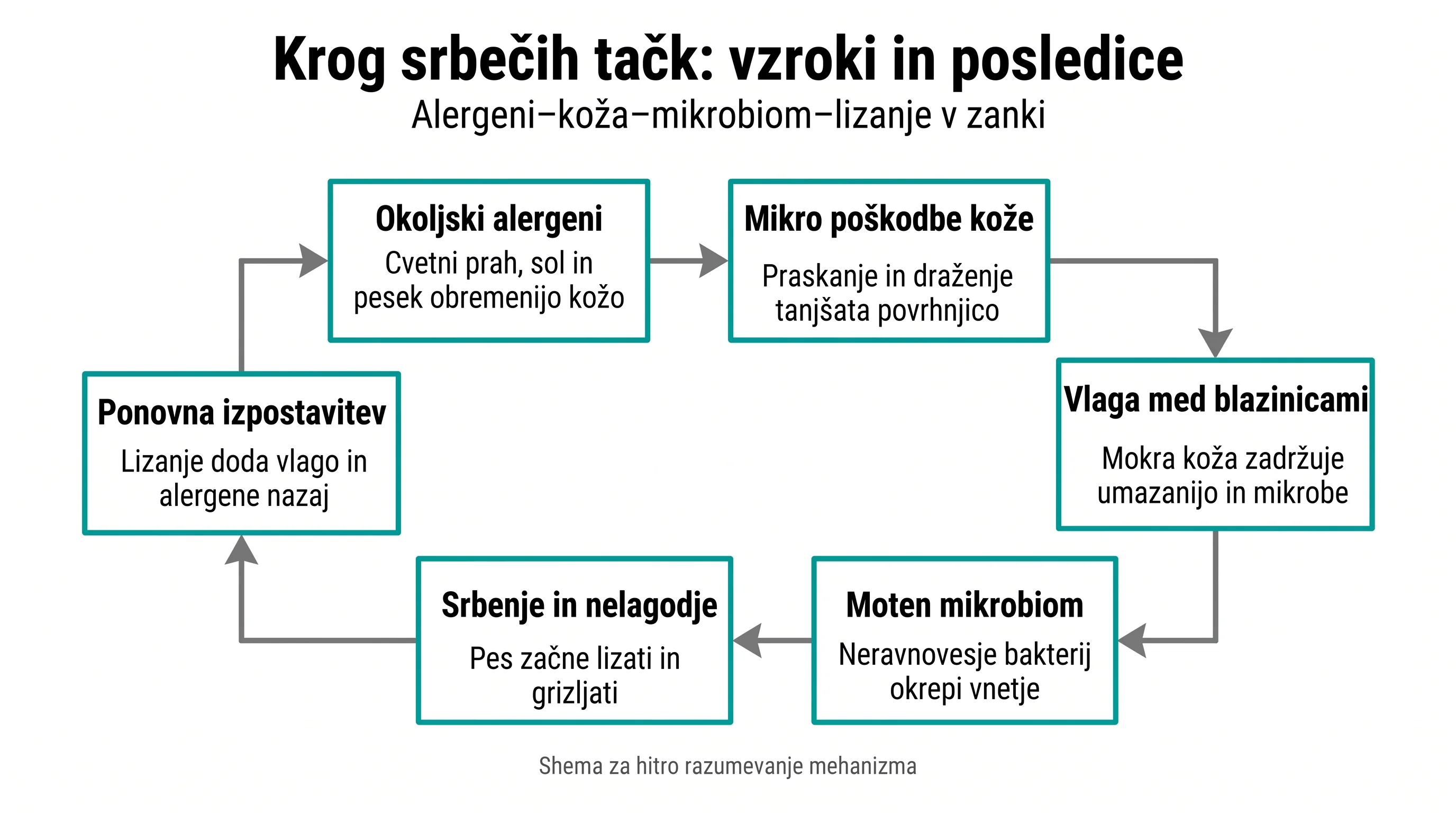 Krog srbečih tačk: vzroki in posledice