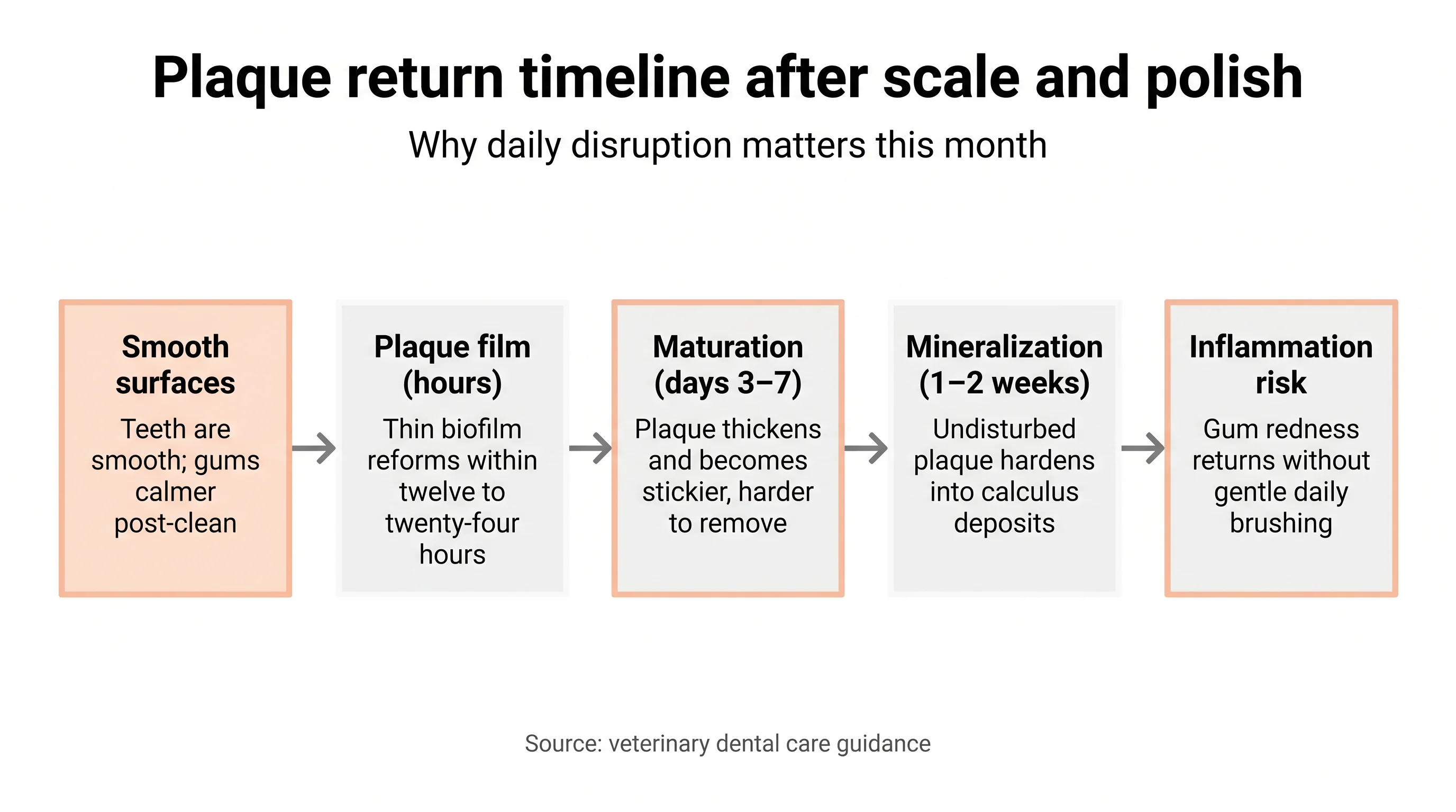 Plaque return timeline after scale and polish