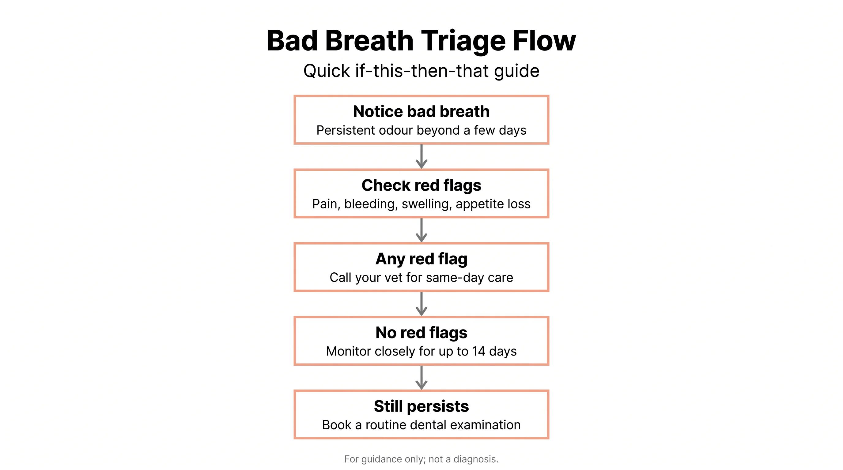 Bad Breath Triage Flow
