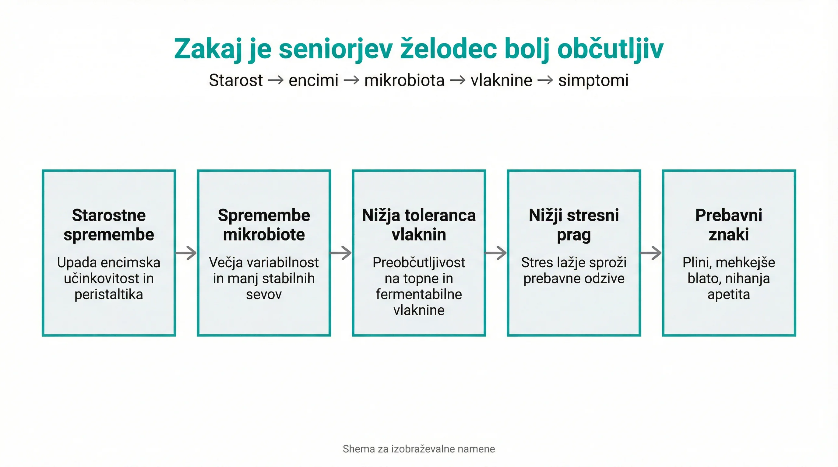 Zakaj je seniorjev želodec bolj občutljiv
