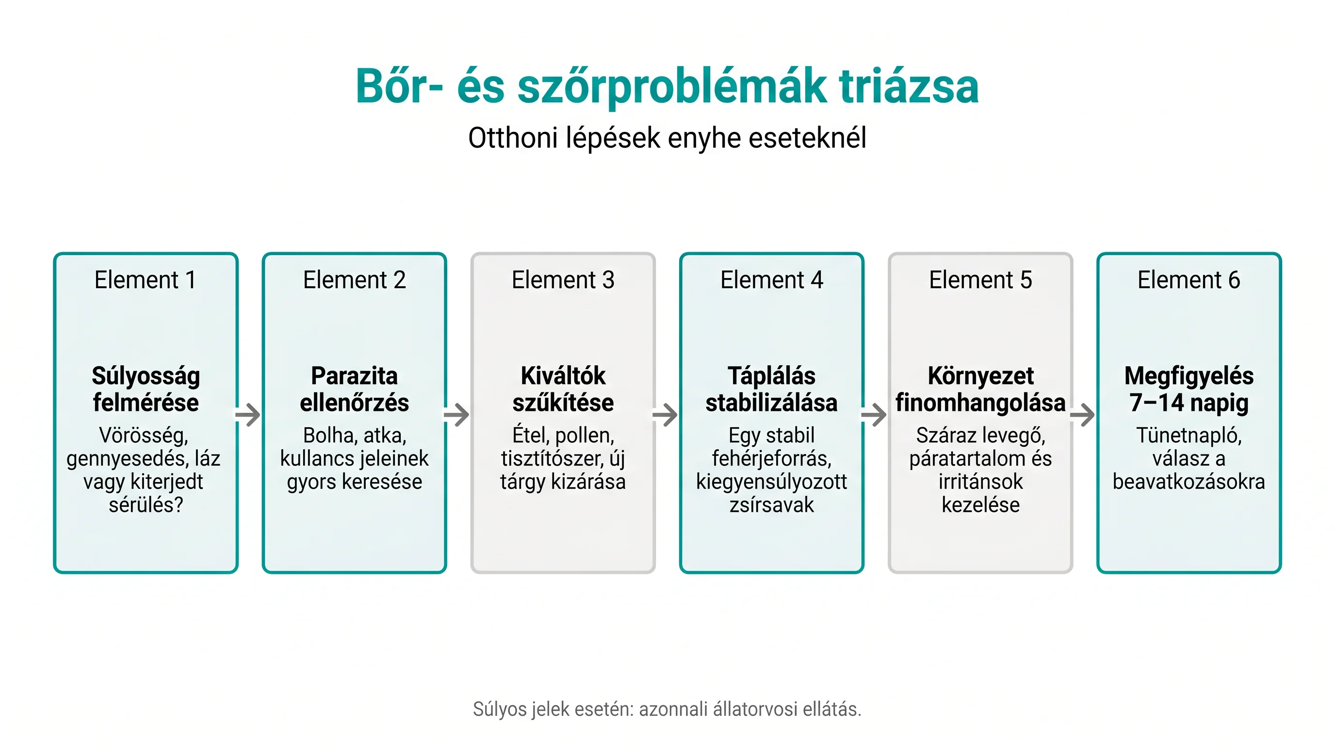 Bőr- és szőrproblémák triázsa