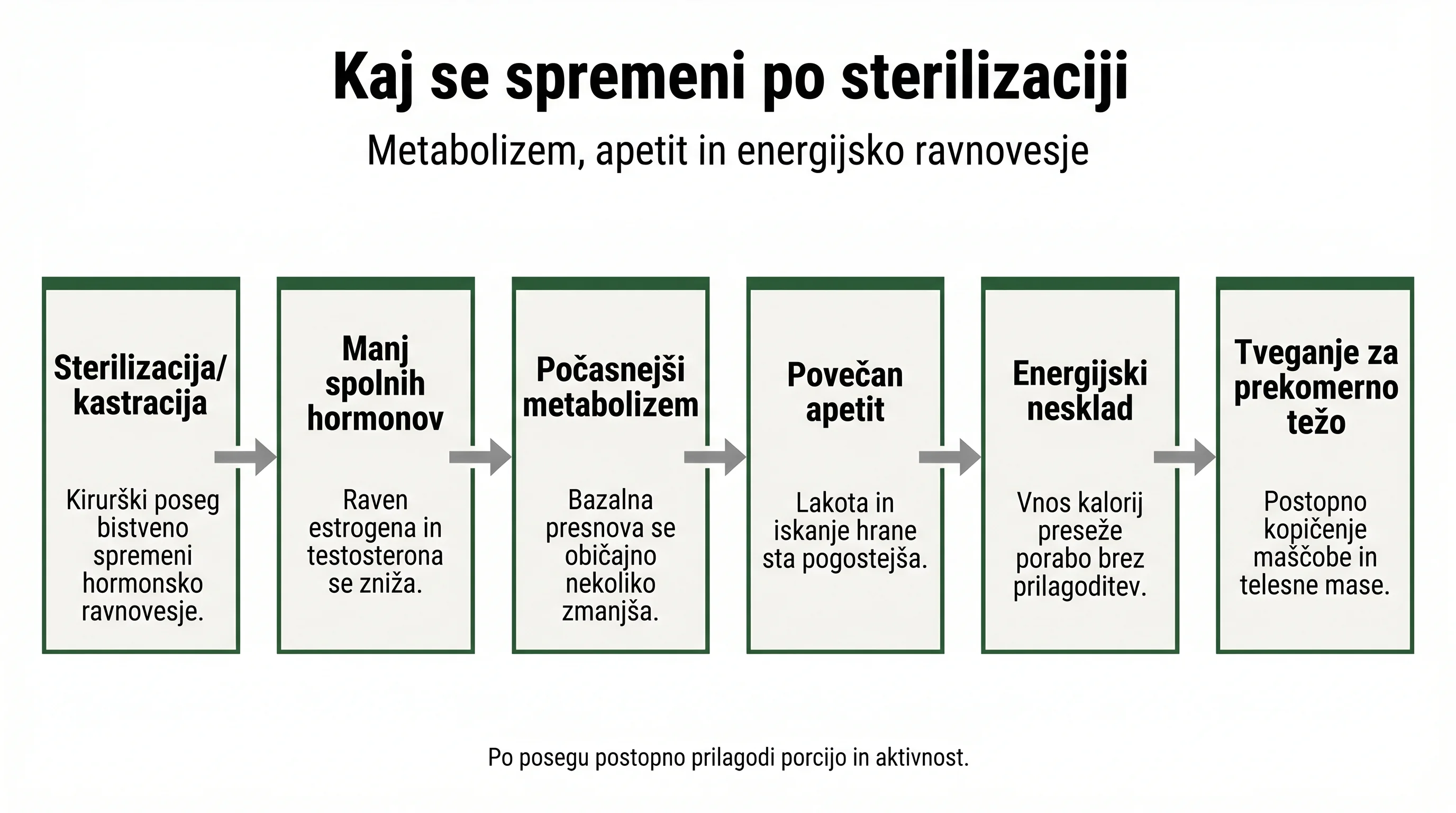 Kaj se spremeni po sterilizaciji